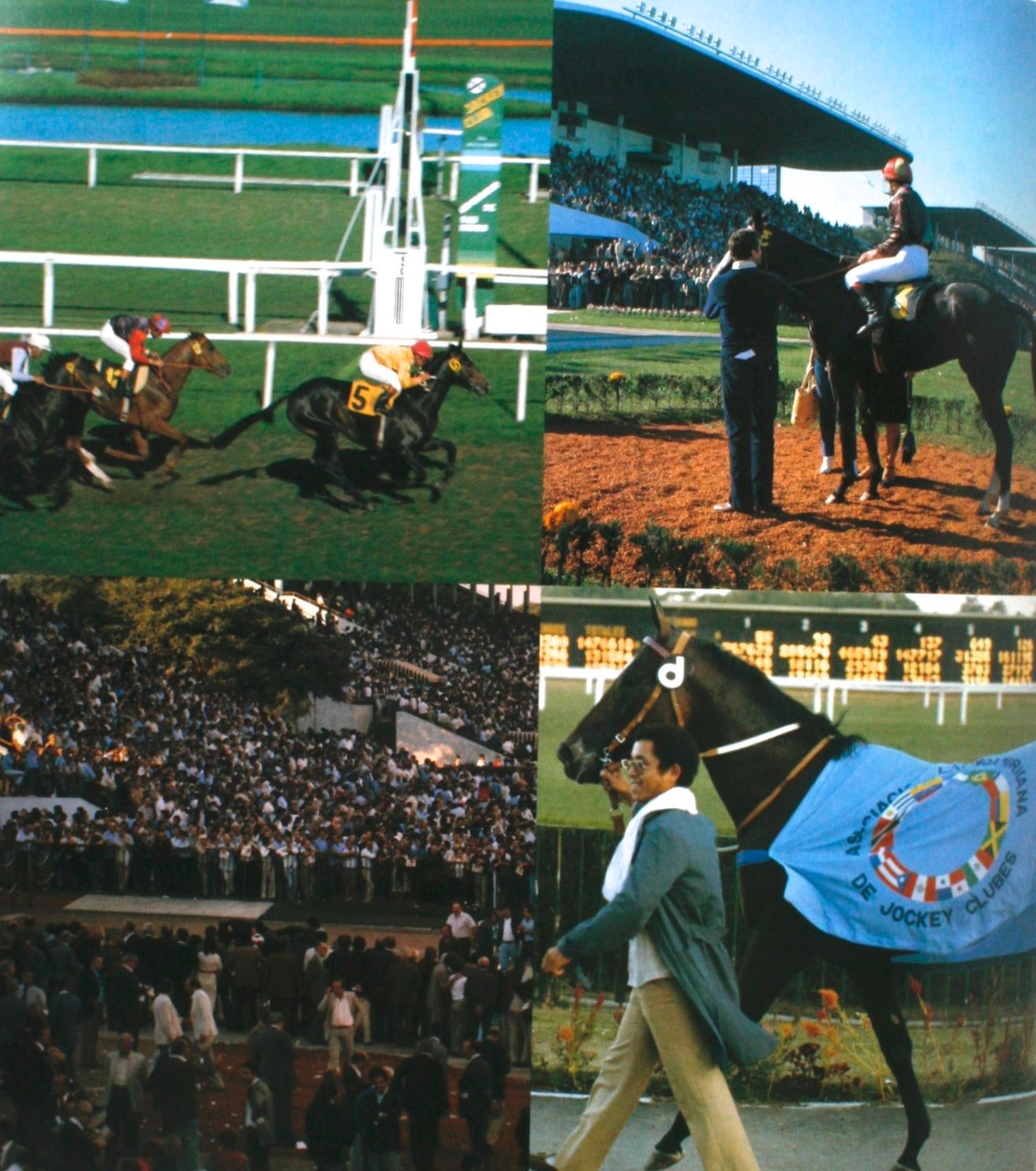 Le Jockey Club, première édition en « Espagnol » en vente 9