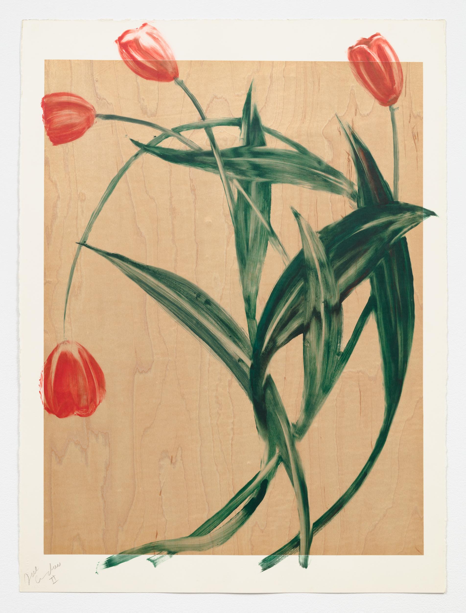Joe Andoe Still-Life Print - Tulips II