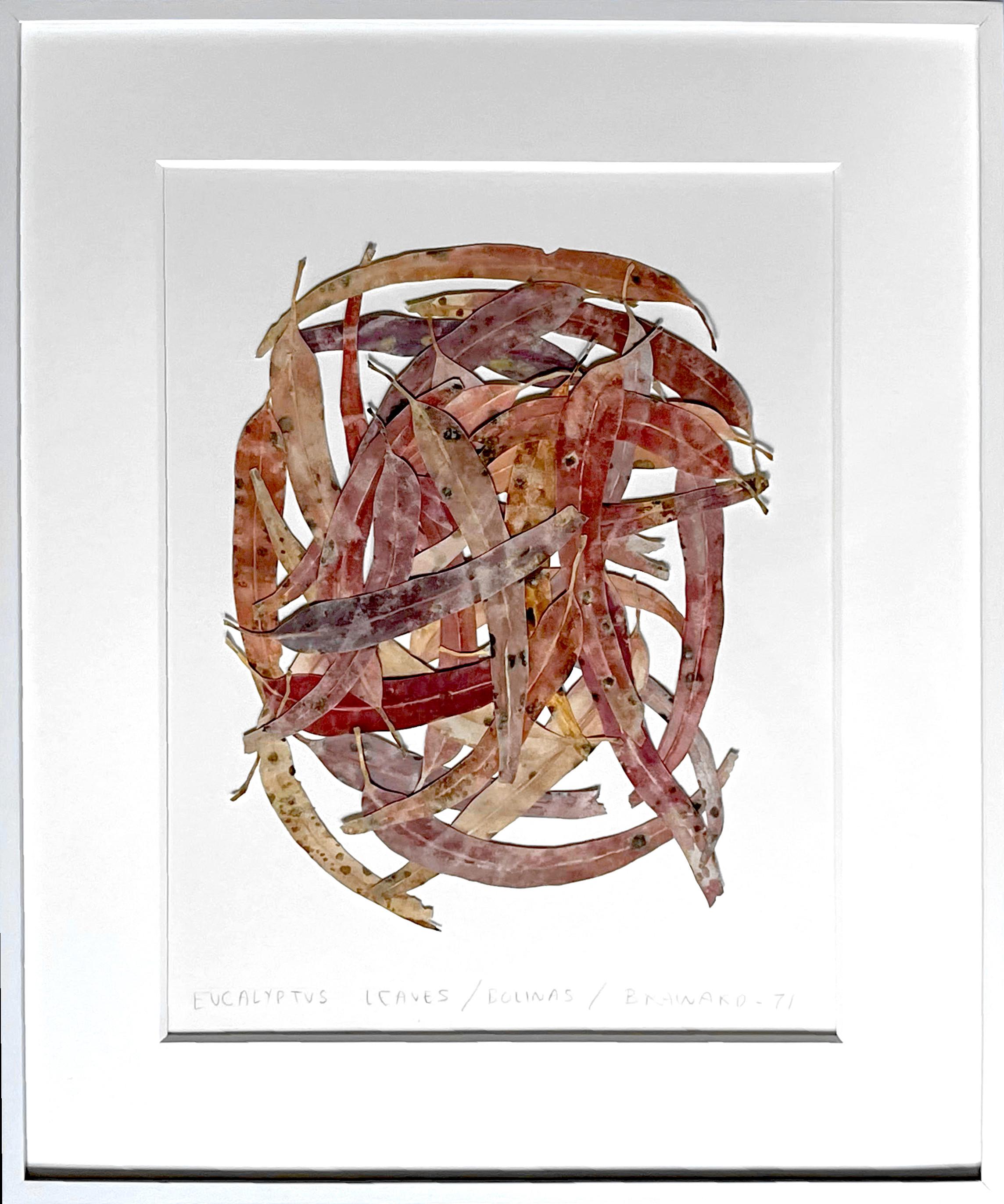 Eucalyptusblätter/Bolinas (ausgestellt im Denver Art Museum und im U of T Museum) (Moderne), Mixed Media Art, von Joe Brainard