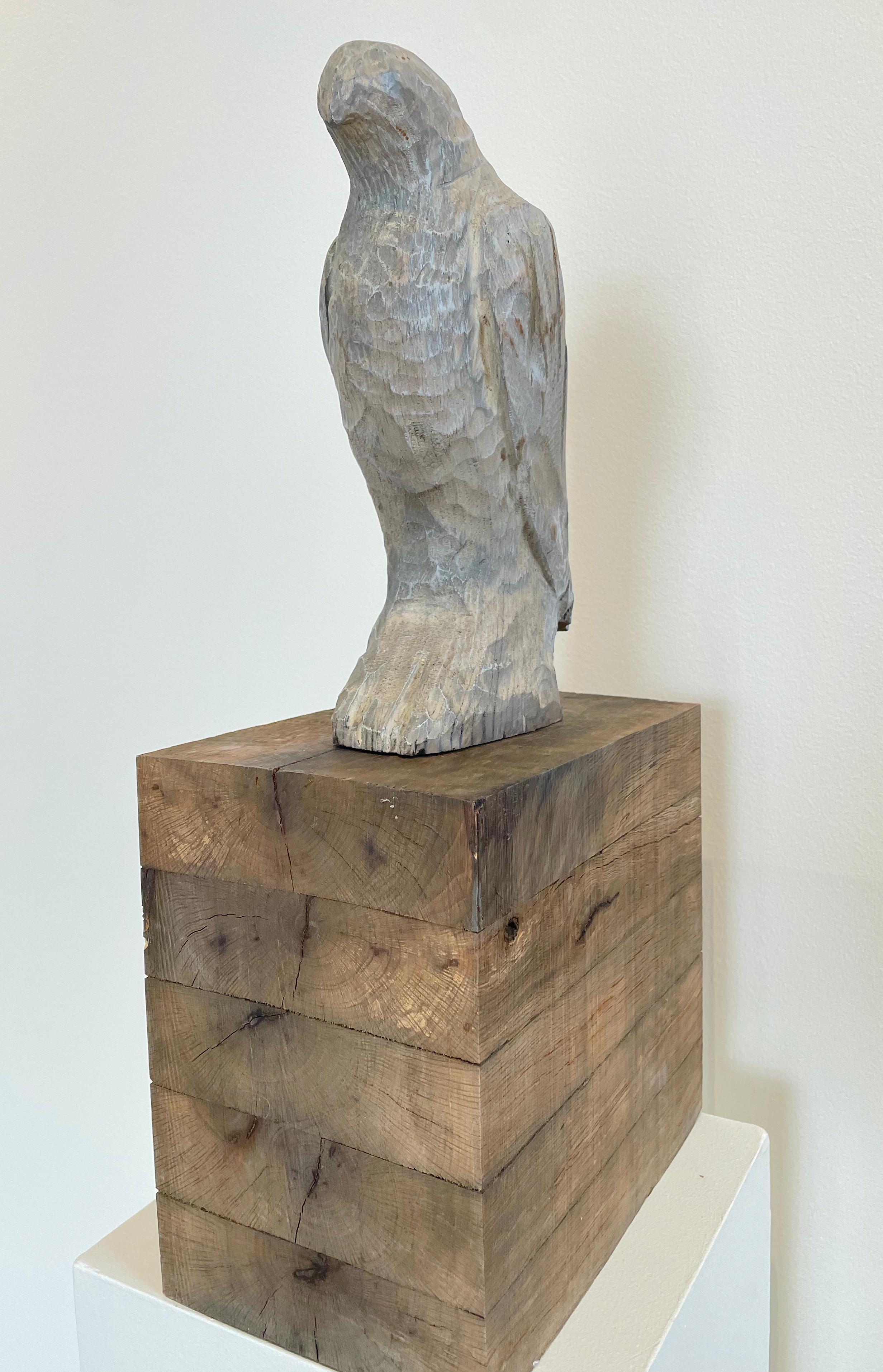 Joe Brubaker Figurative Sculpture - Hawk