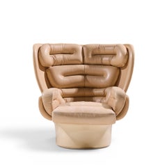 Joe Colombo for Comfort Model 1005 Fiberglass and Leather Elda Lounge Chair