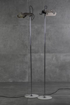 Joe Colombo ''Spider'' floor lamp for Oluce, 1960s, set di 2