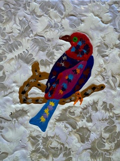 Colorín pintado