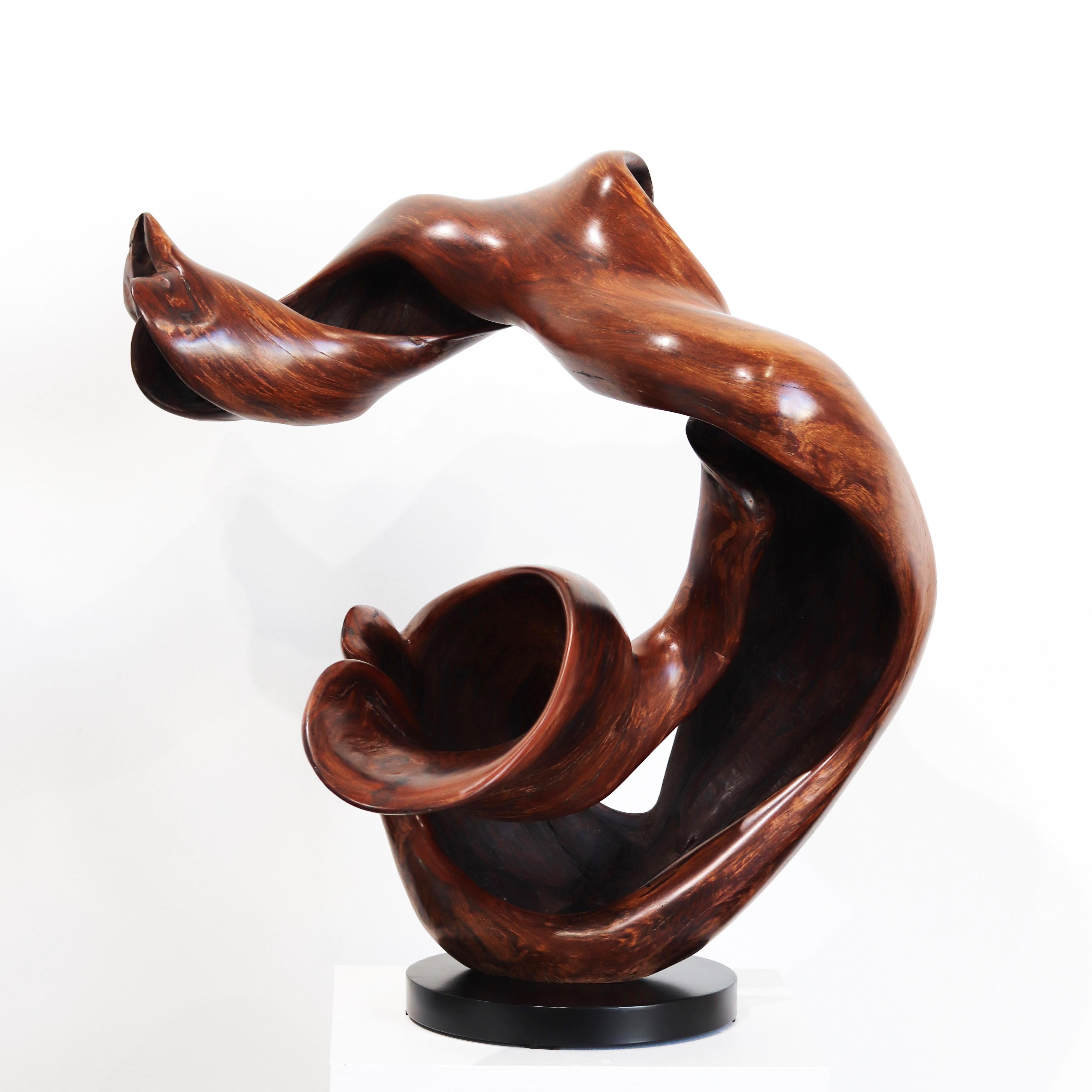 Boundless - Original Large Organic Spiral Redwood Sculpture  For Sale 9