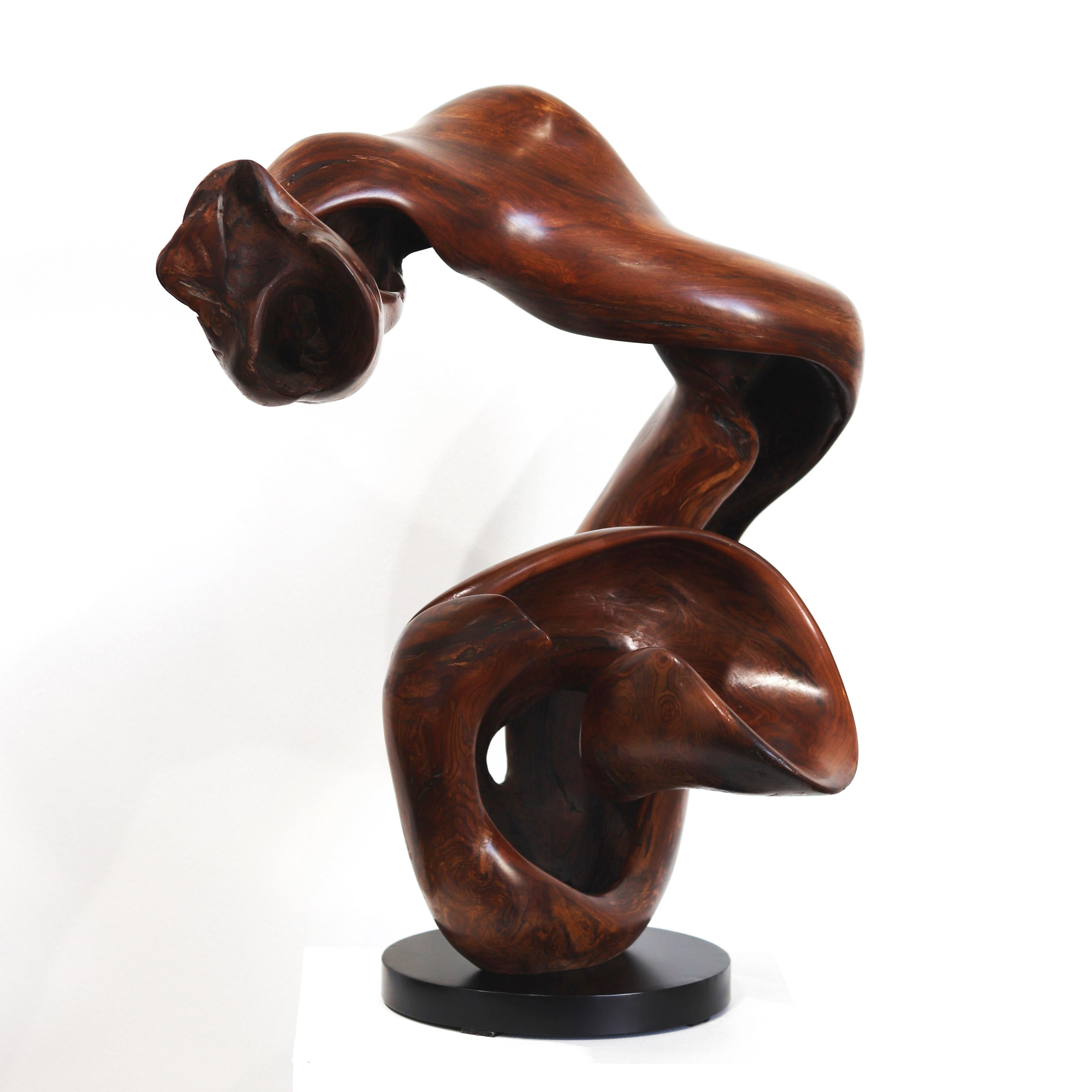 Boundless - Original Large Organic Spiral Redwood Sculpture  For Sale 10