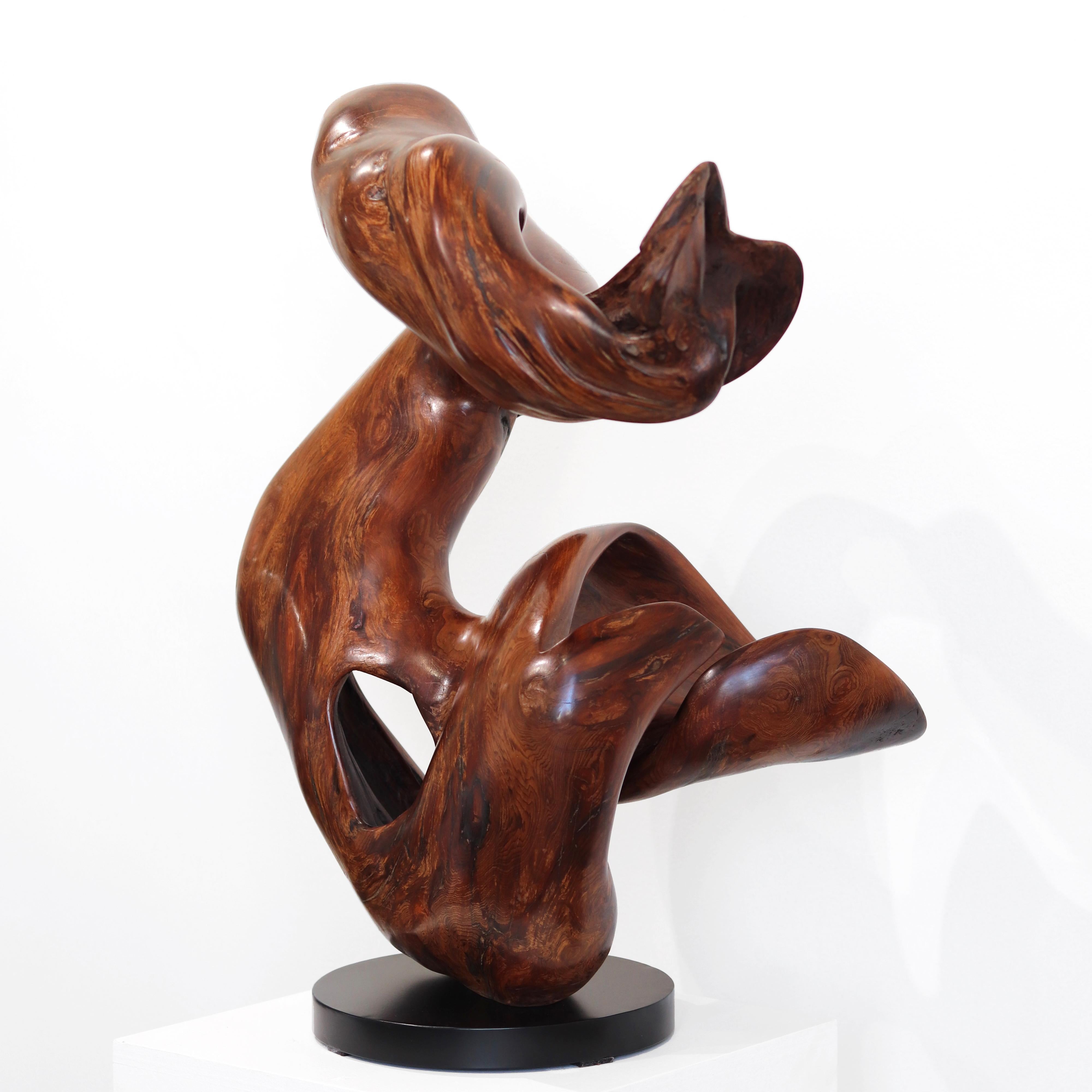 Boundless - Original Large Organic Spiral Redwood Sculpture  For Sale 11