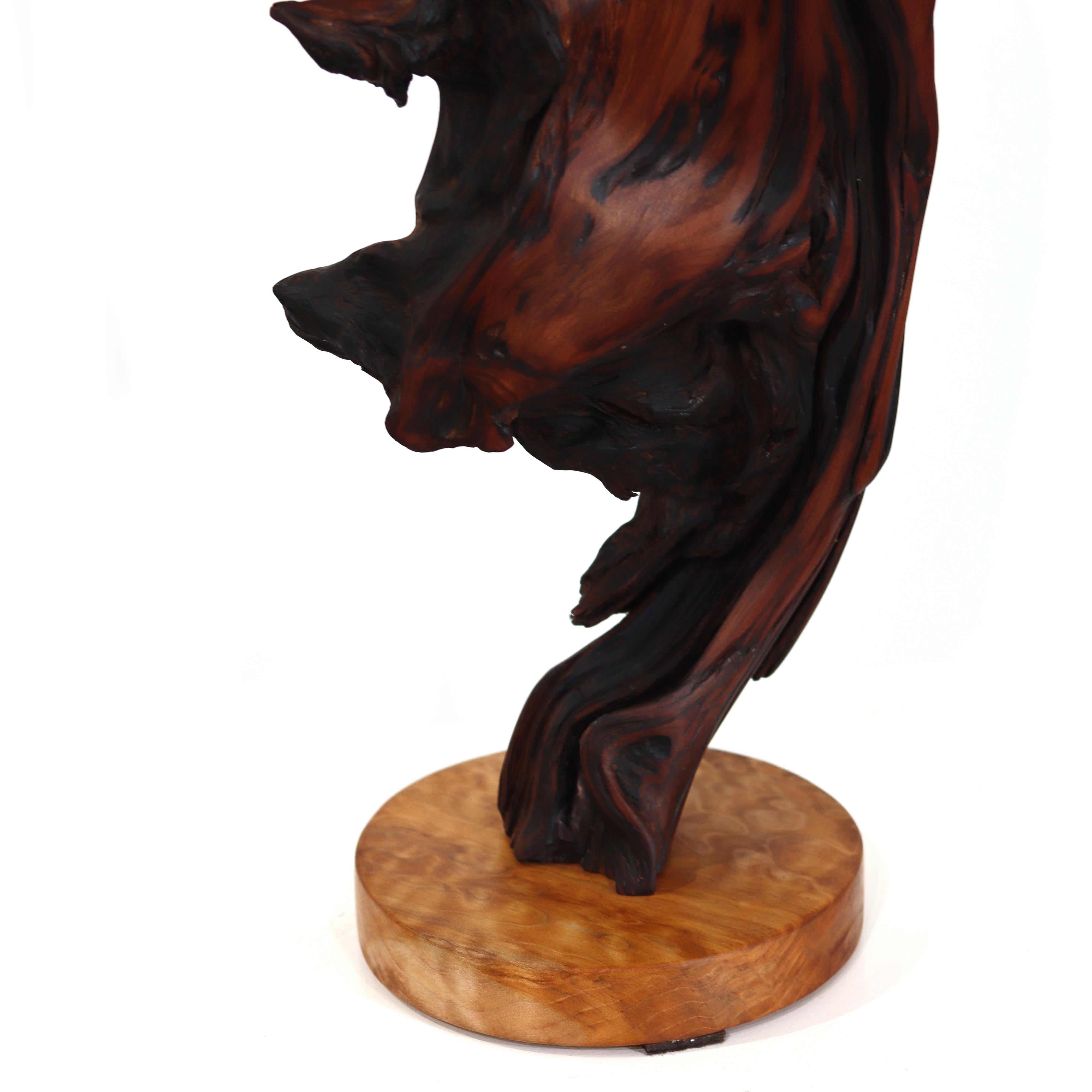 Deep Roots - Sculpture abstraite organique élégante et originale en séquoia avec base en érable en vente 2