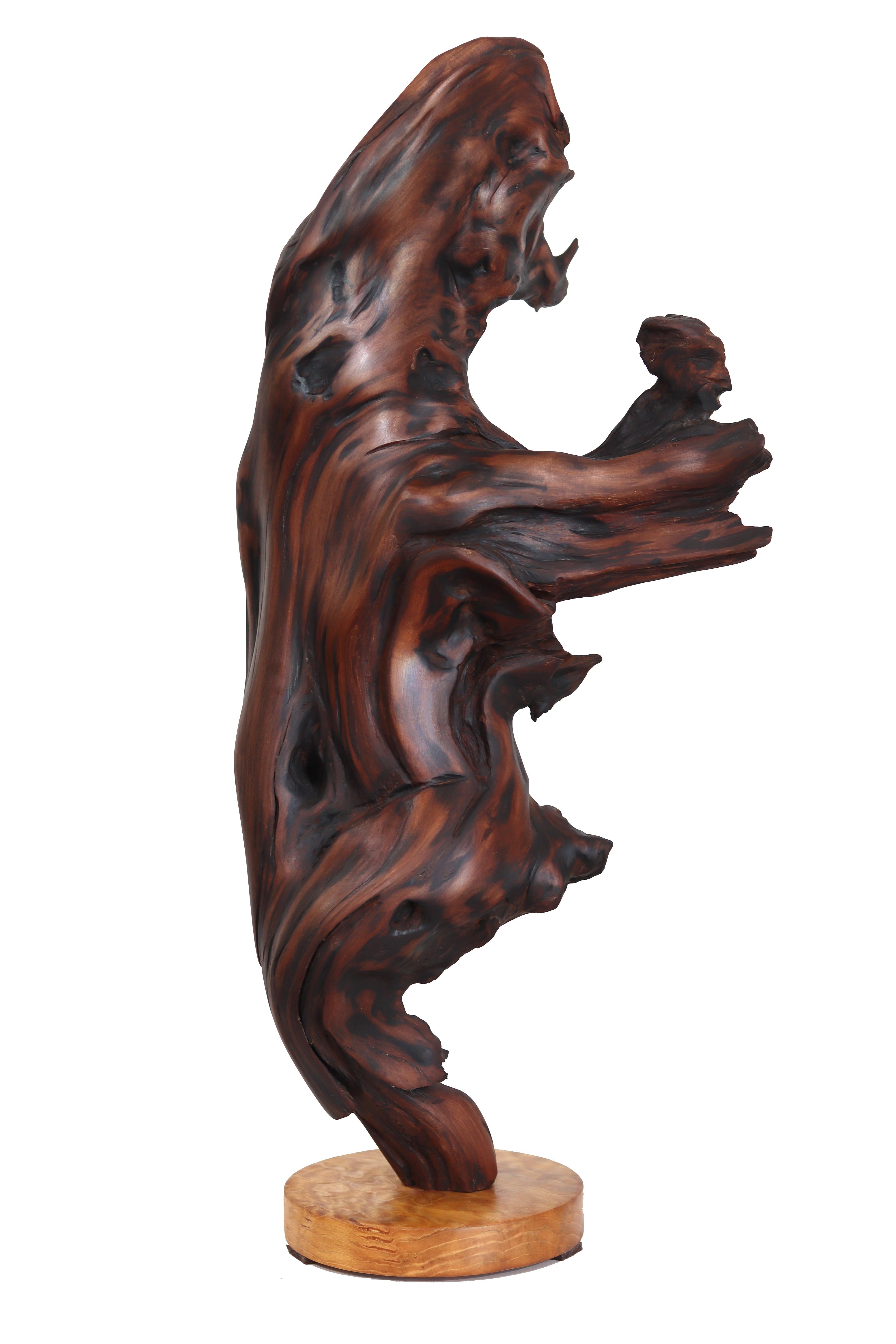 Deep Roots - Sculpture abstraite organique élégante et originale en séquoia avec base en érable en vente 6