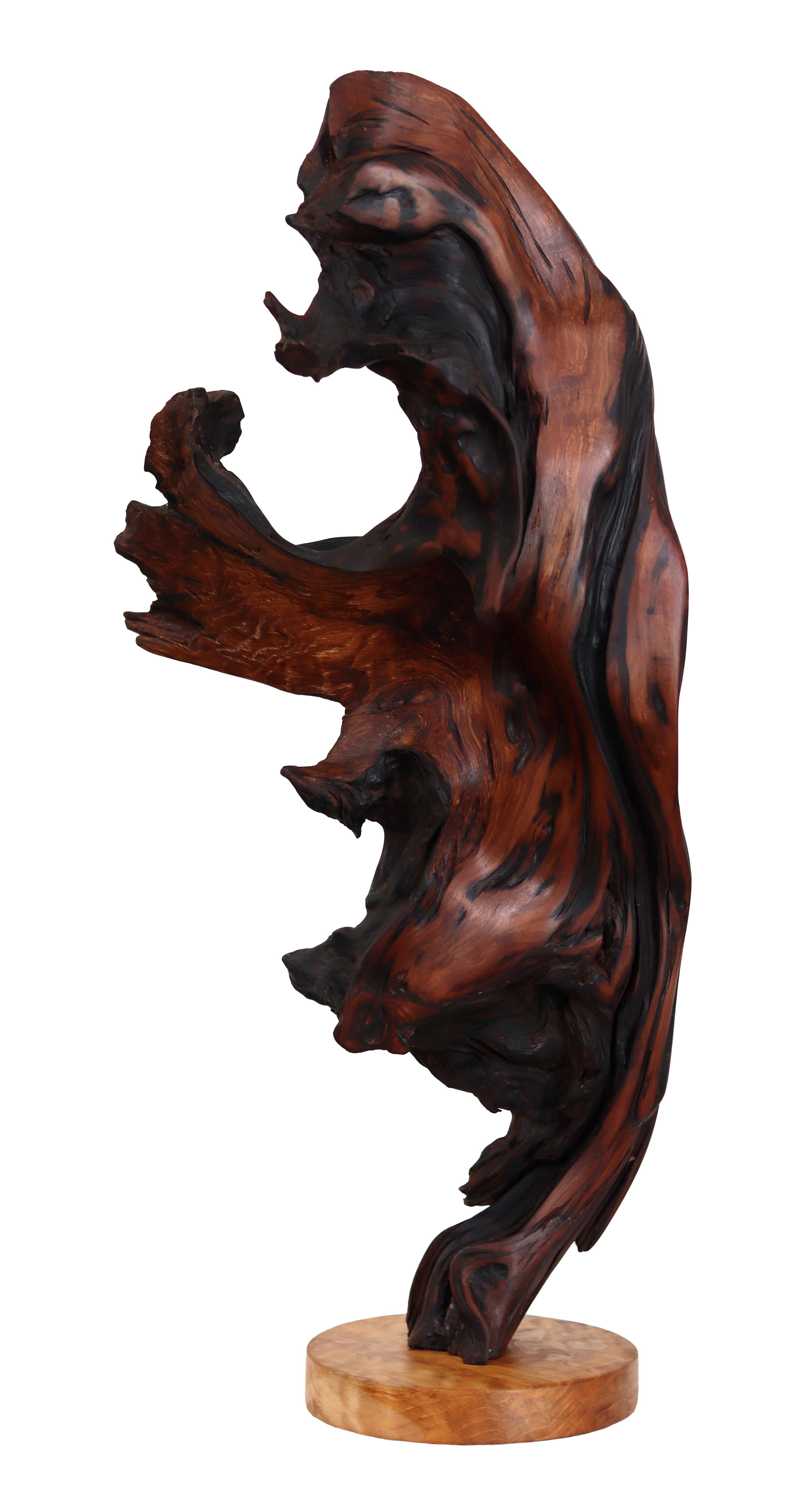 Deep Roots - Sculpture abstraite organique élégante et originale en séquoia avec base en érable - Mixed Media Art de Joe Garnero