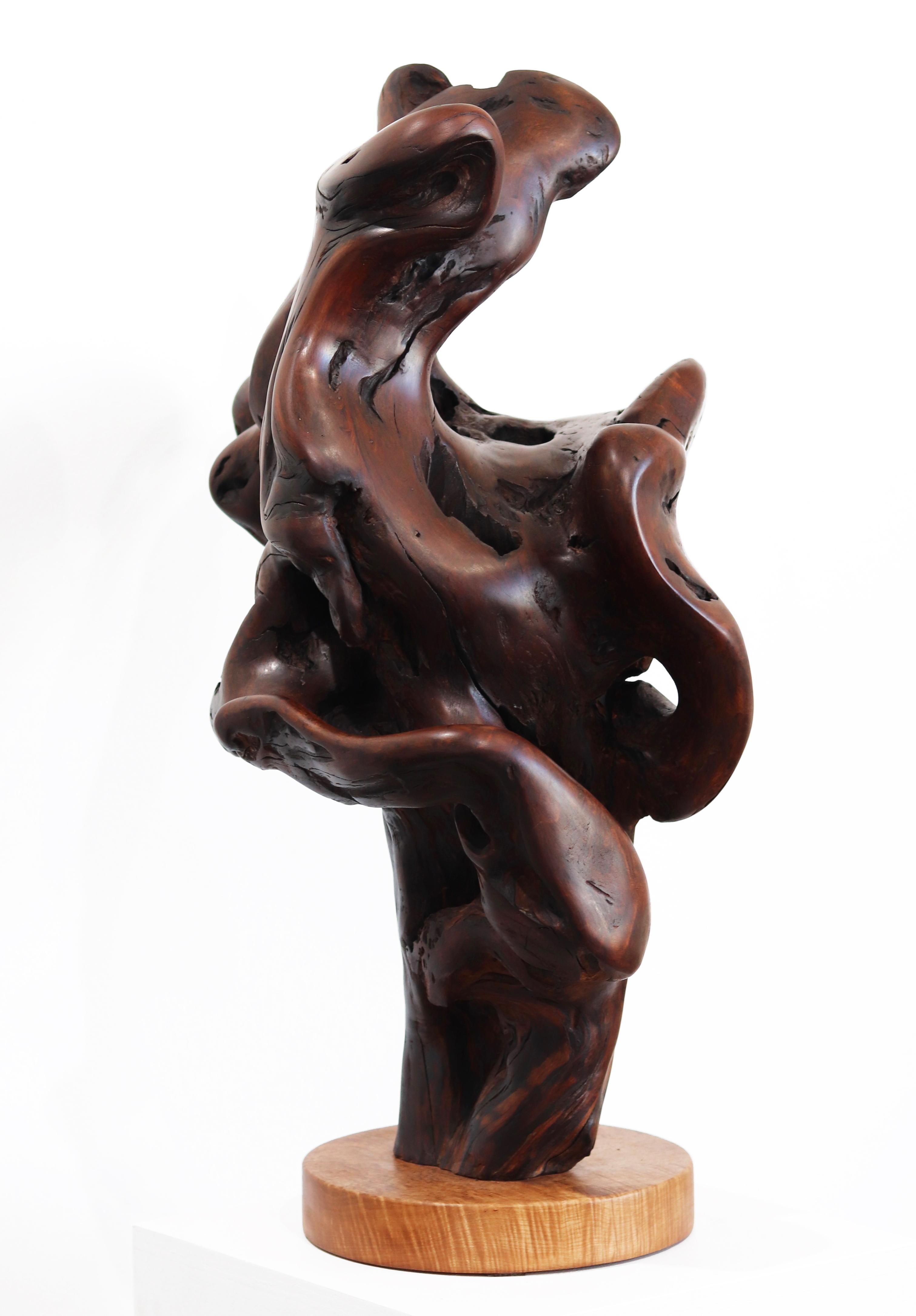 Entrelazados - Escultura original de madera roja orgánica en espiral de gran tamaño en venta 5