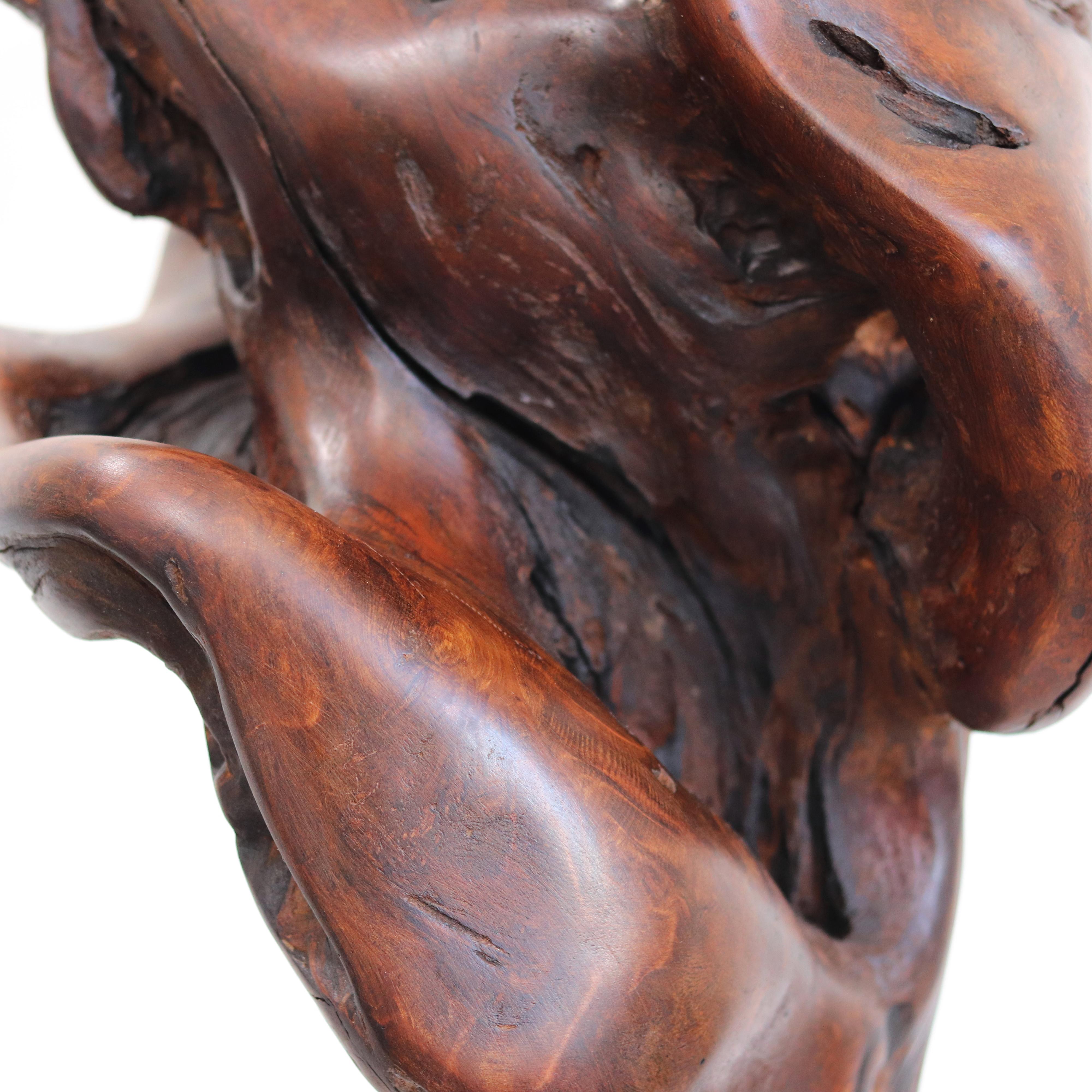 Entrelazados - Escultura original de madera roja orgánica en espiral de gran tamaño en venta 6