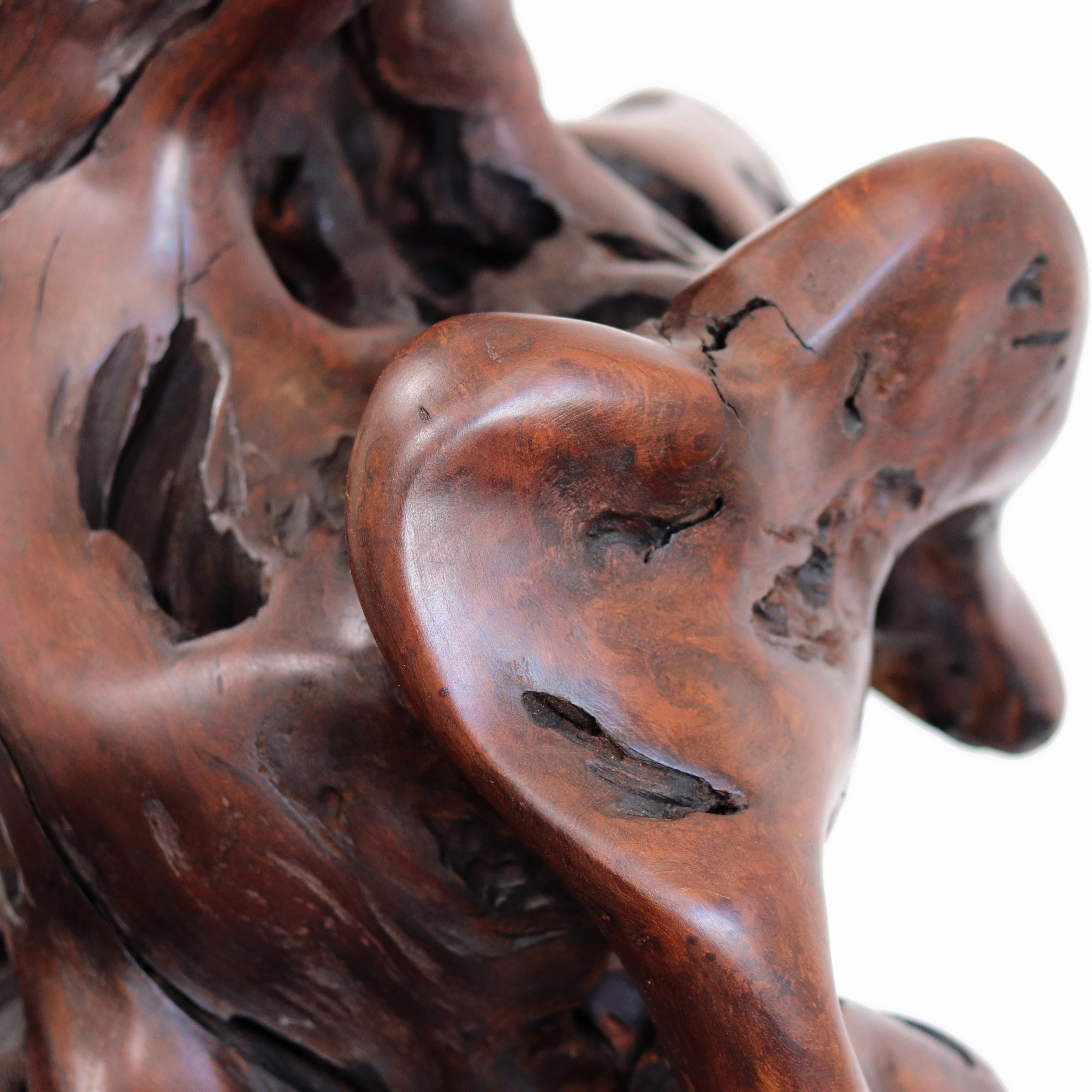 Entrelazados - Escultura original de madera roja orgánica en espiral de gran tamaño en venta 8