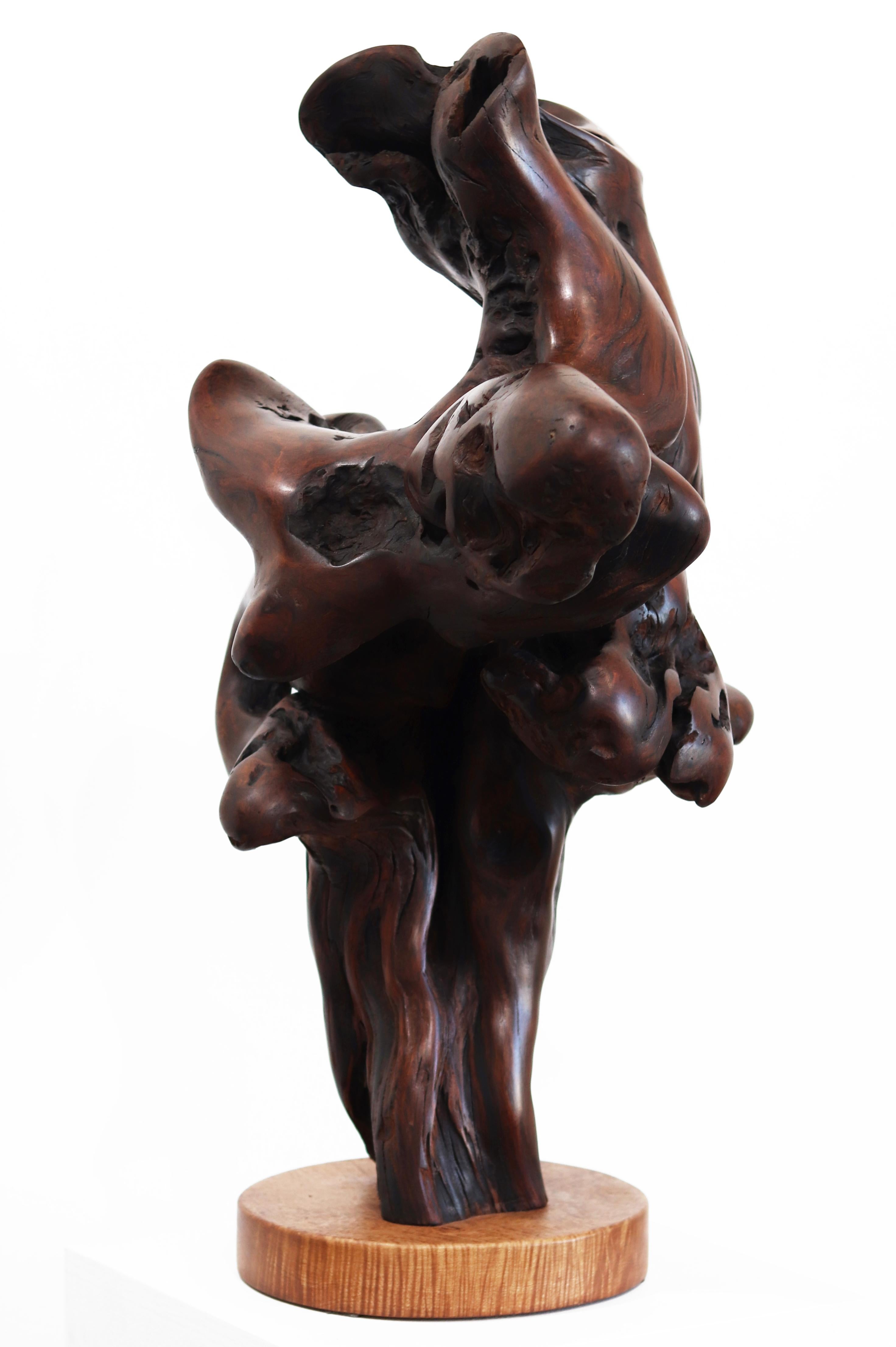 Entrelazados - Escultura original de madera roja orgánica en espiral de gran tamaño en venta 10