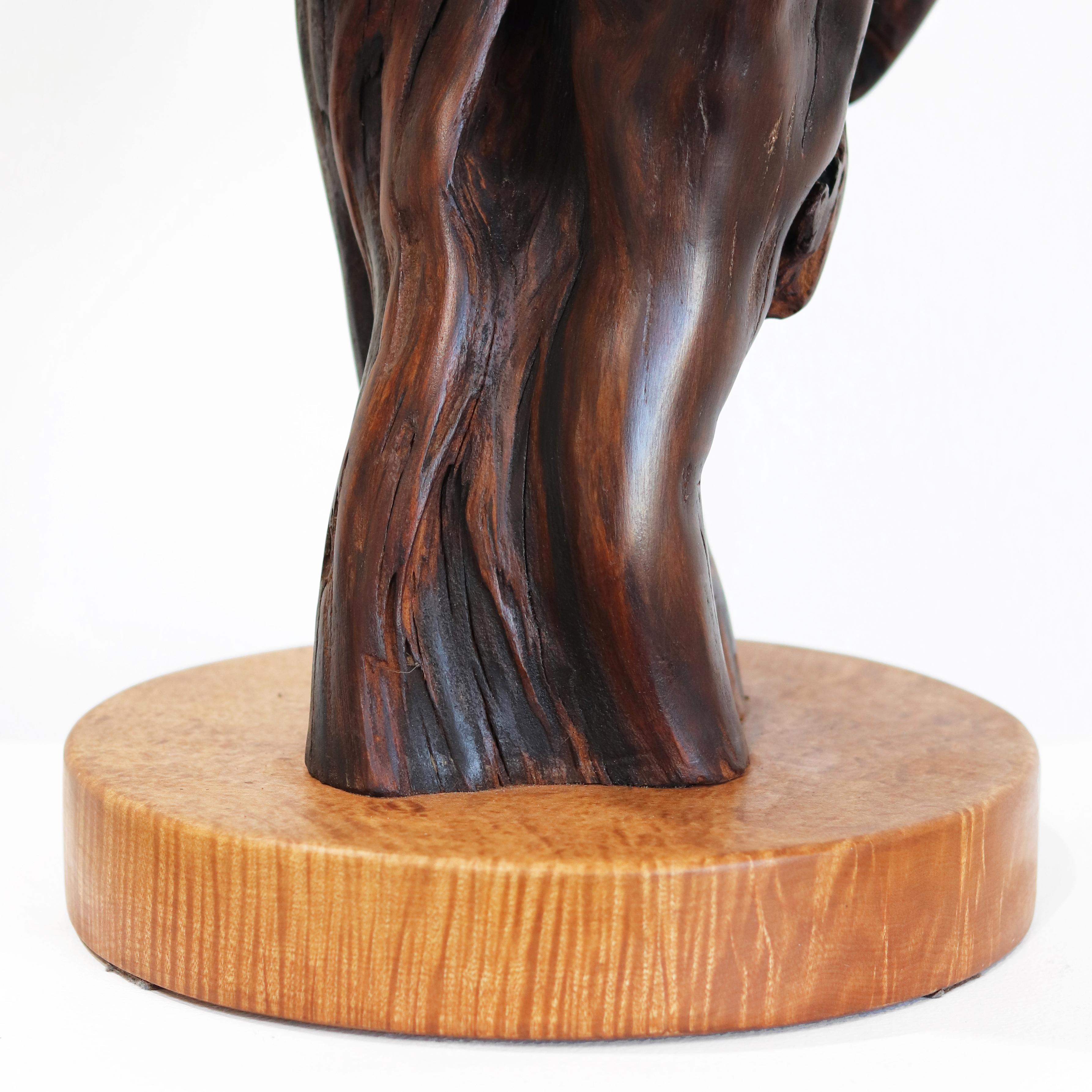 Entrelazados - Escultura original de madera roja orgánica en espiral de gran tamaño en venta 12