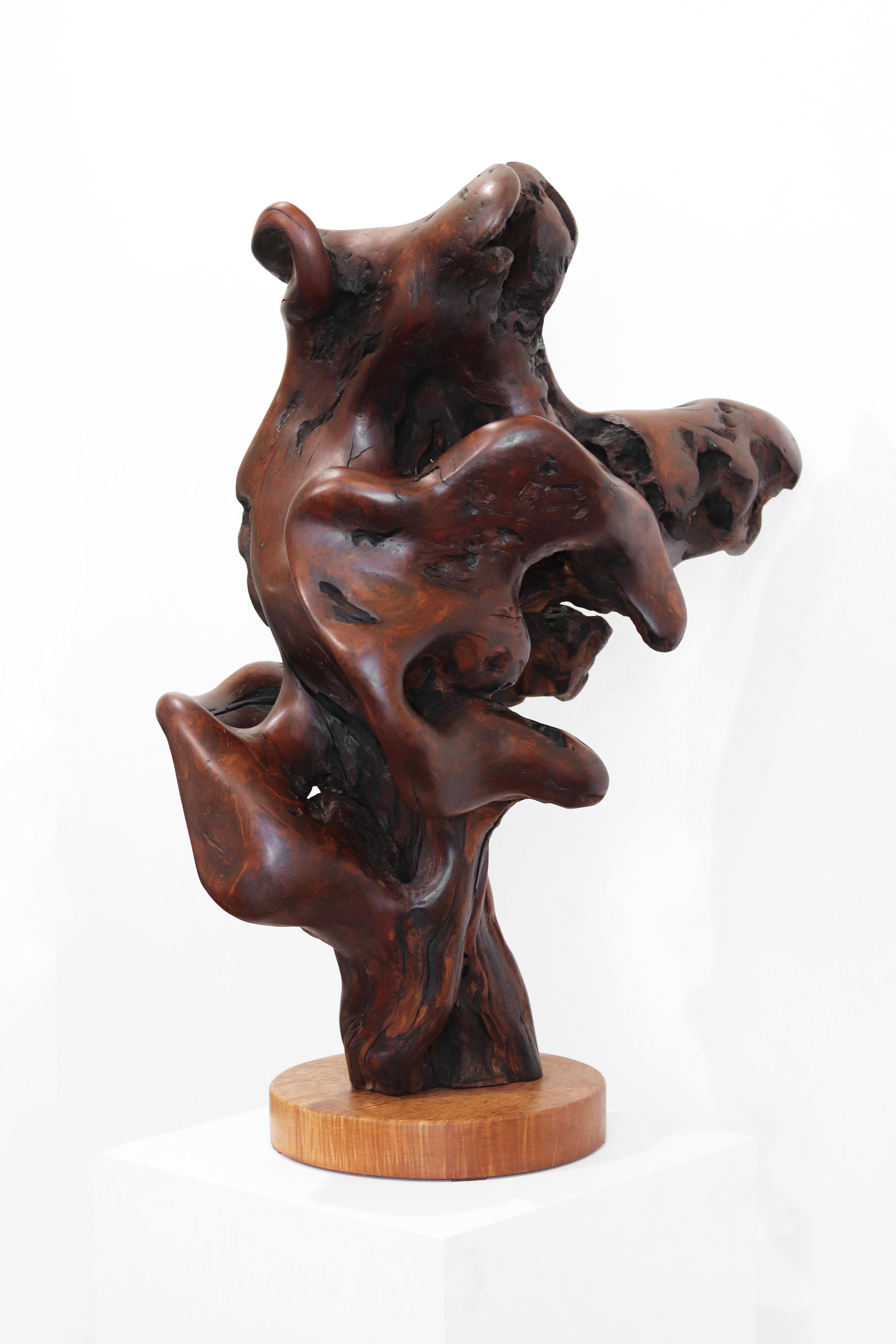 Entrelazados - Escultura original de madera roja orgánica en espiral de gran tamaño - Abstract Sculpture Marrón de Joe Garnero