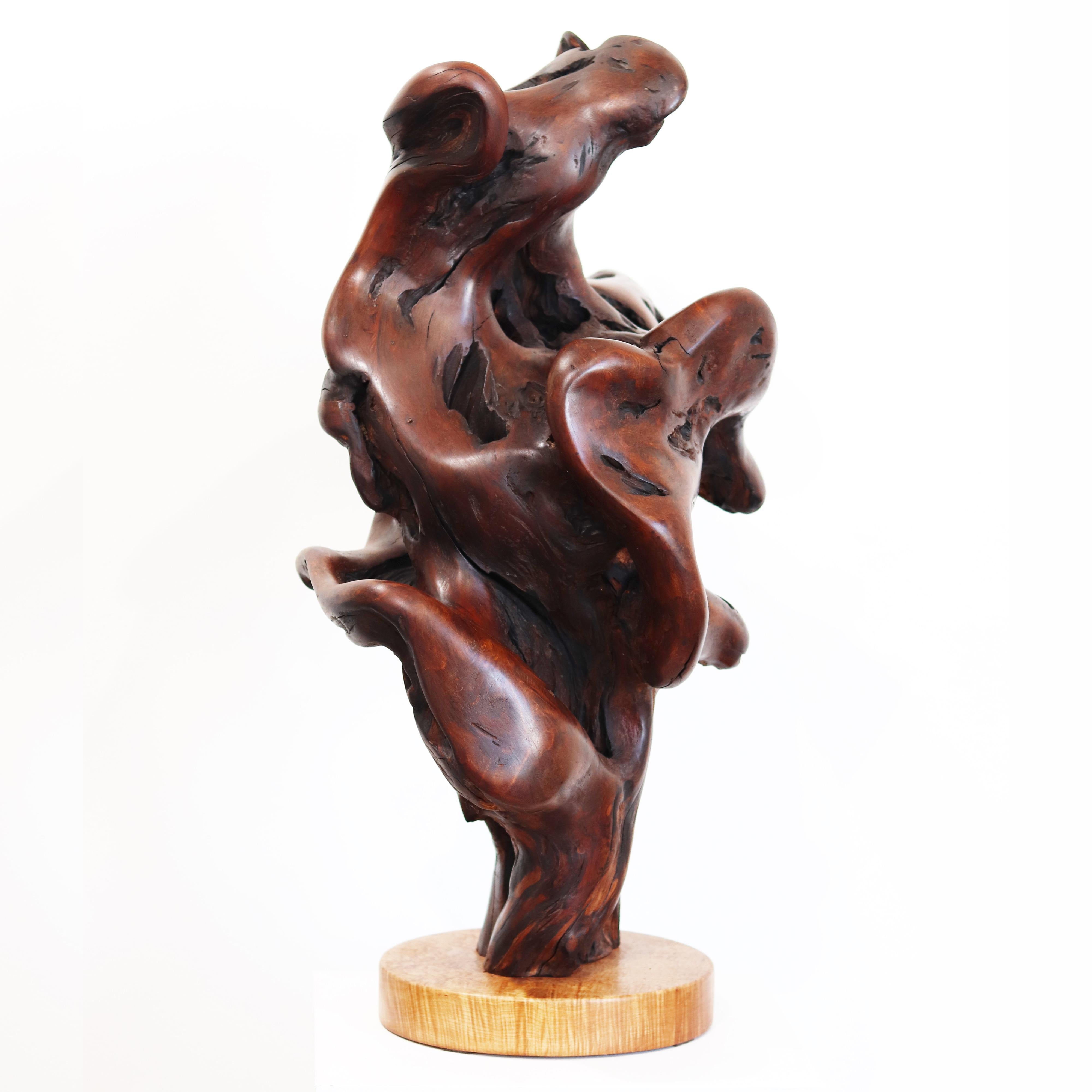 Entrelazados - Escultura original de madera roja orgánica en espiral de gran tamaño en venta 3