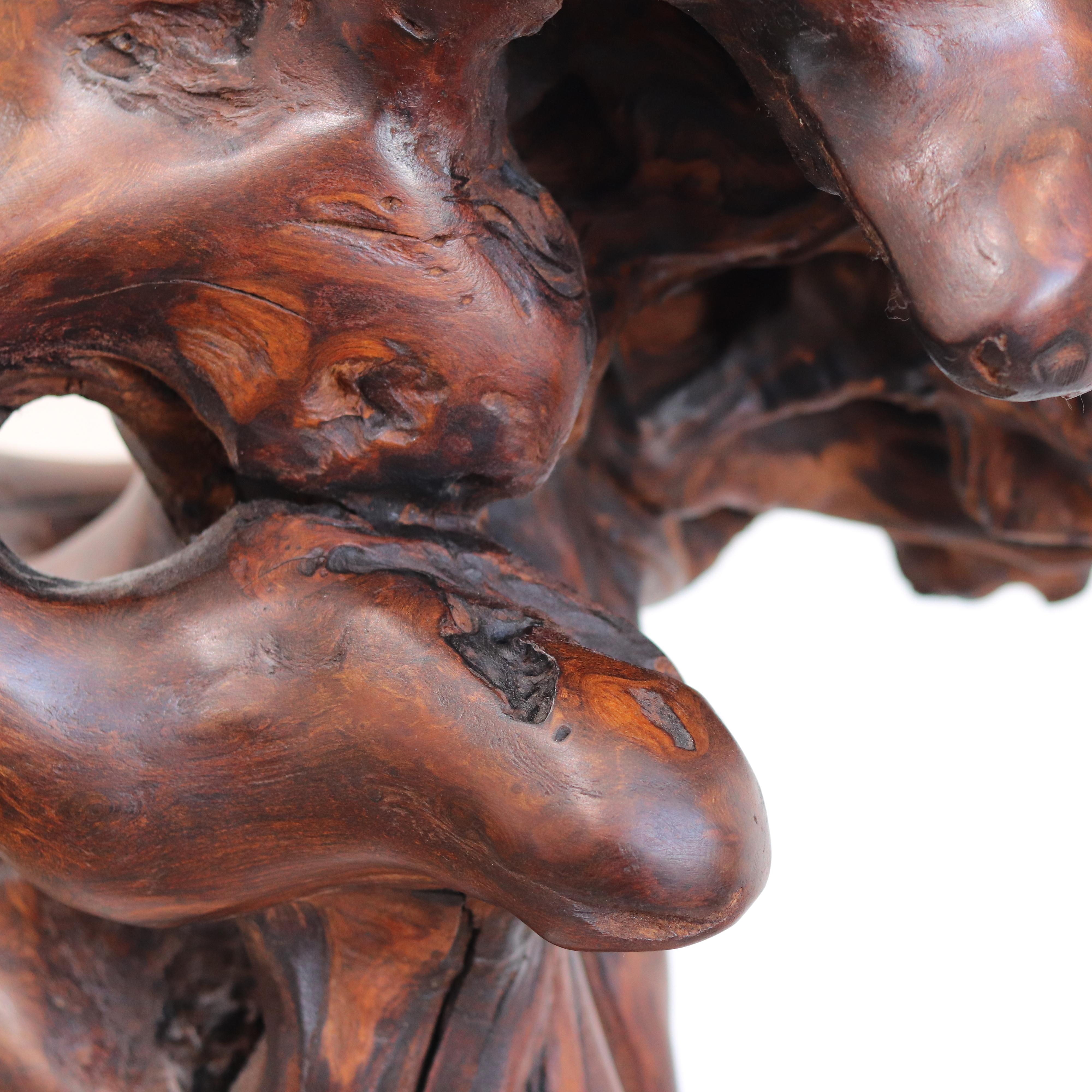 Entrelazados - Escultura original de madera roja orgánica en espiral de gran tamaño en venta 4