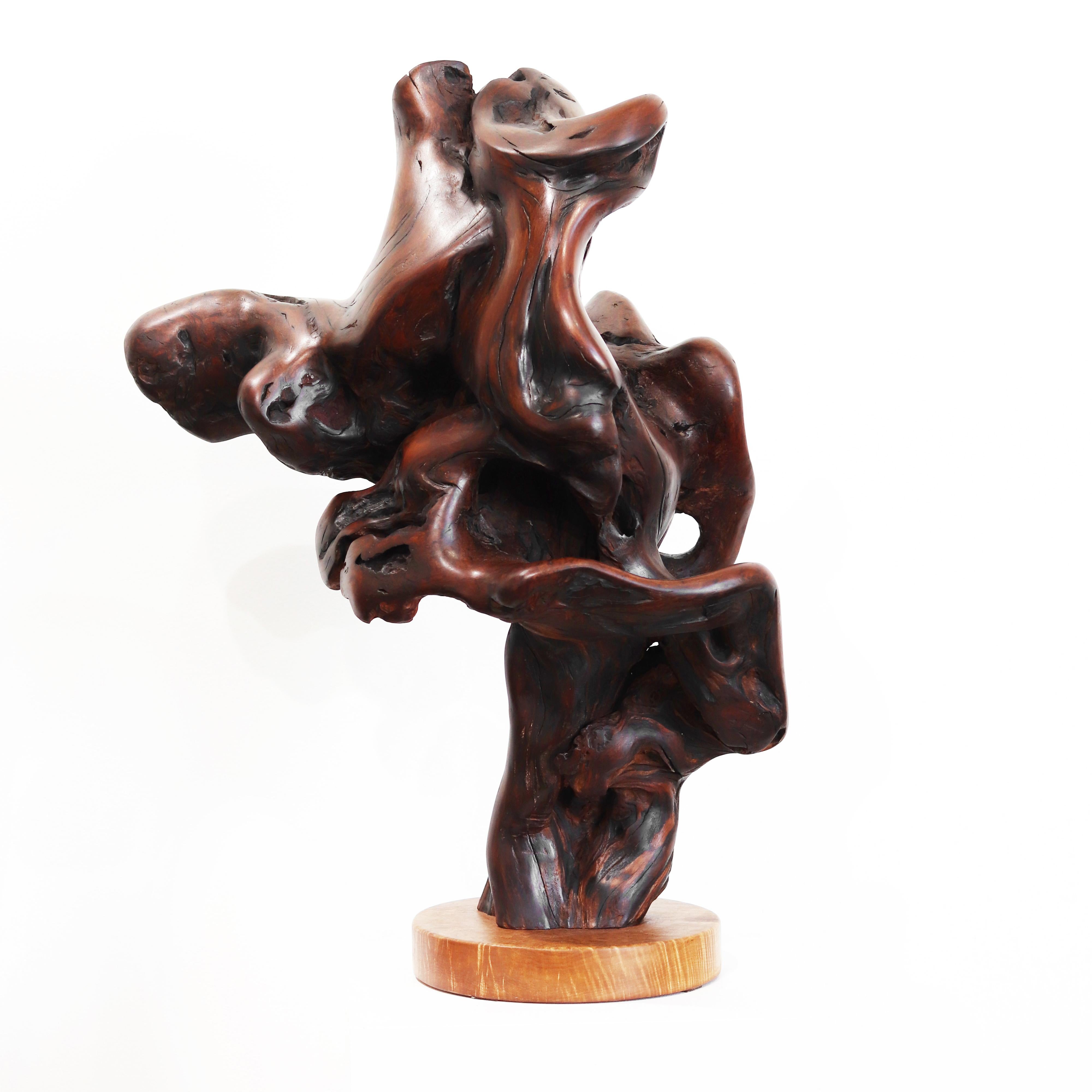 Abstract Sculpture de Joe Garnero - Entrelazados - Escultura original de madera roja orgánica en espiral de gran tamaño