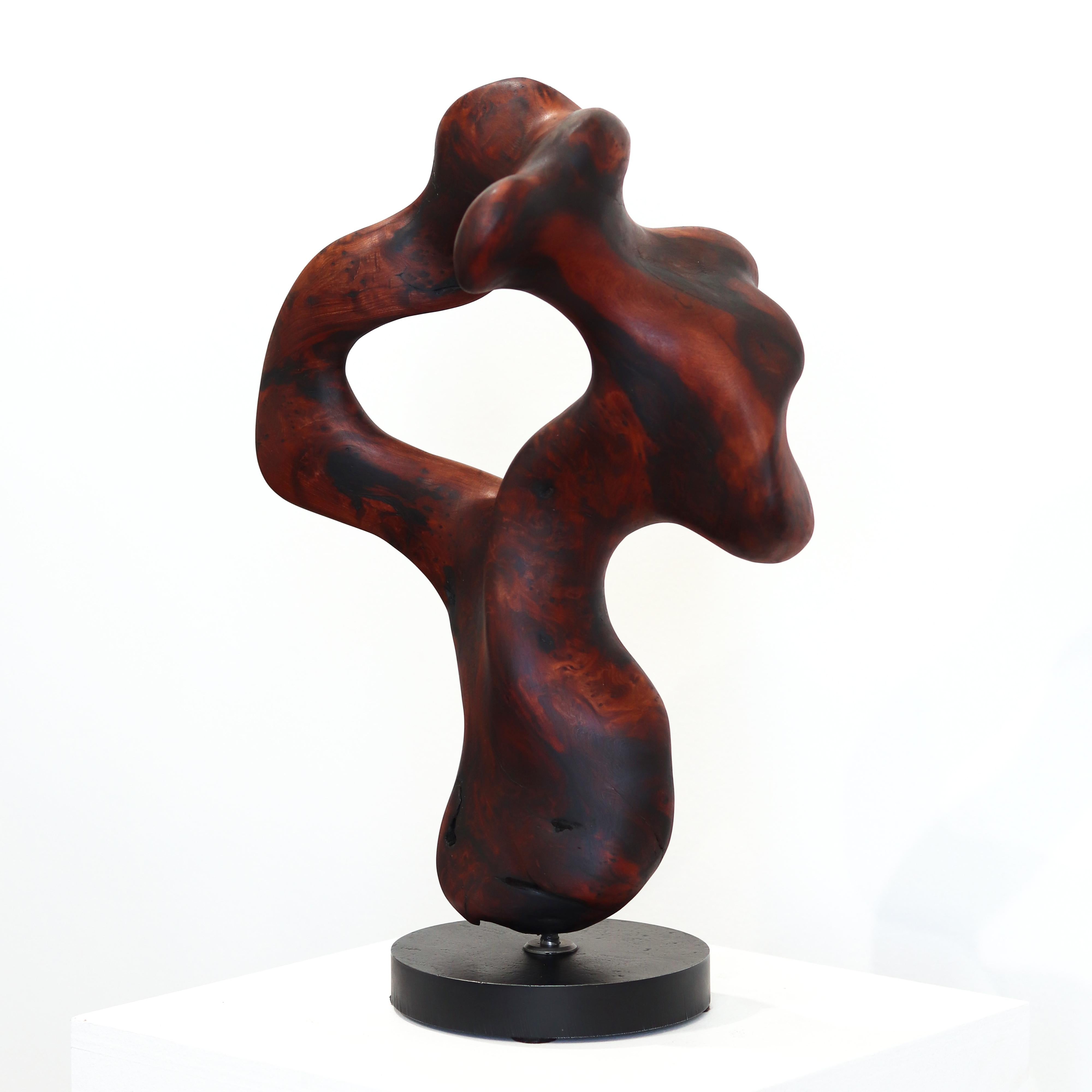 Metamorphosis II  -  Original organische Skulptur aus rotem Holz 7
