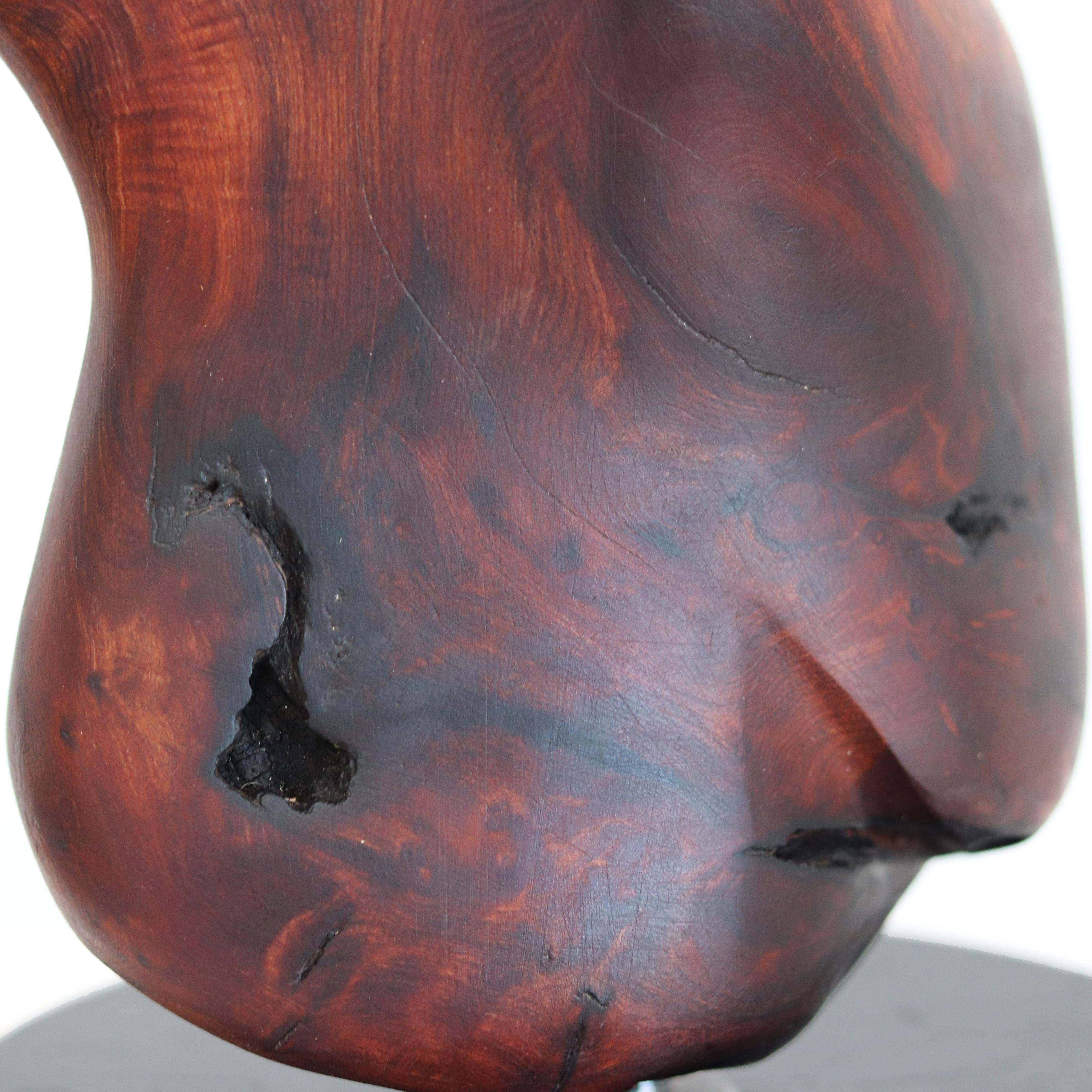 Metamorphosis II  -  Original organische Skulptur aus rotem Holz 9