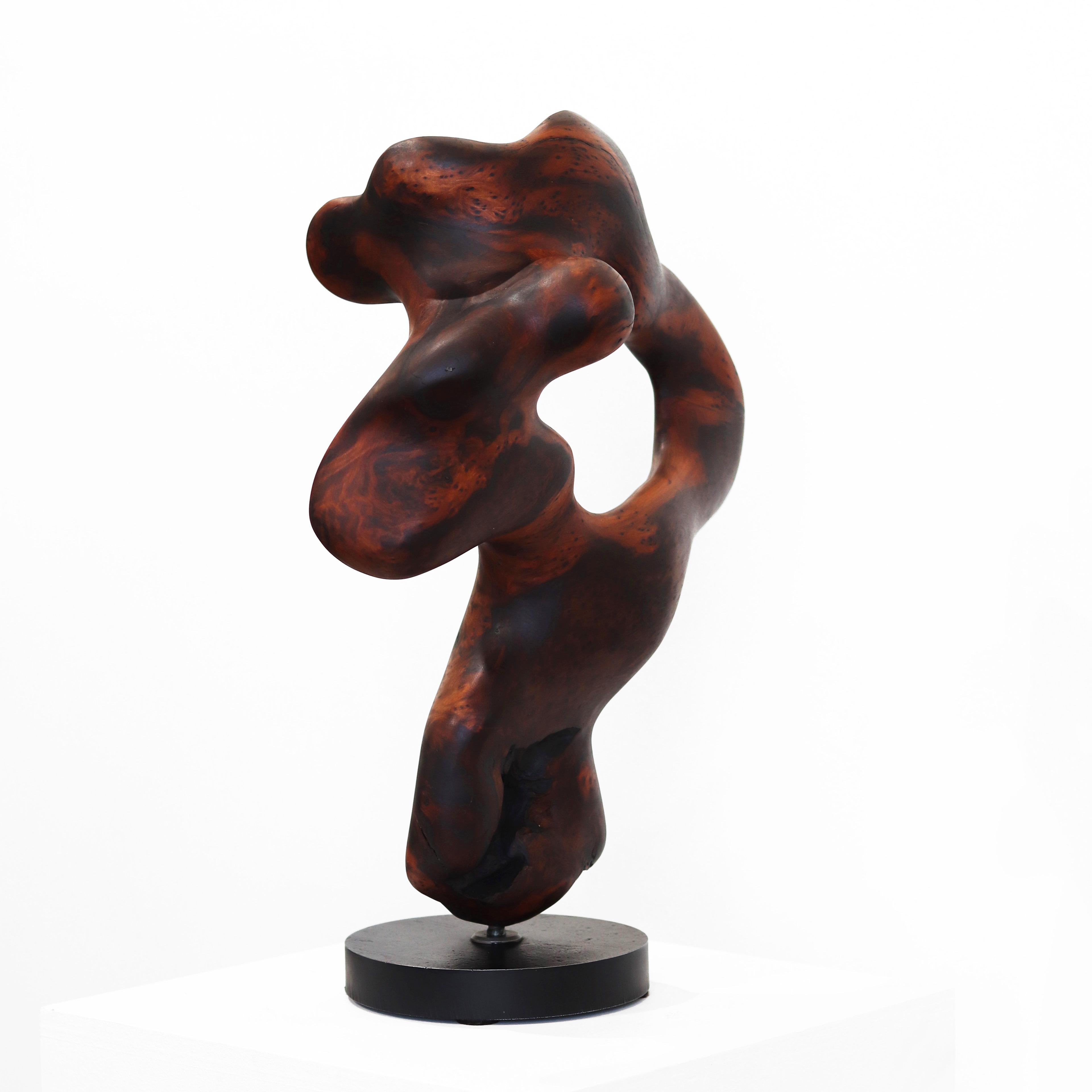 Metamorphosis II  -  Original organische Skulptur aus rotem Holz 1