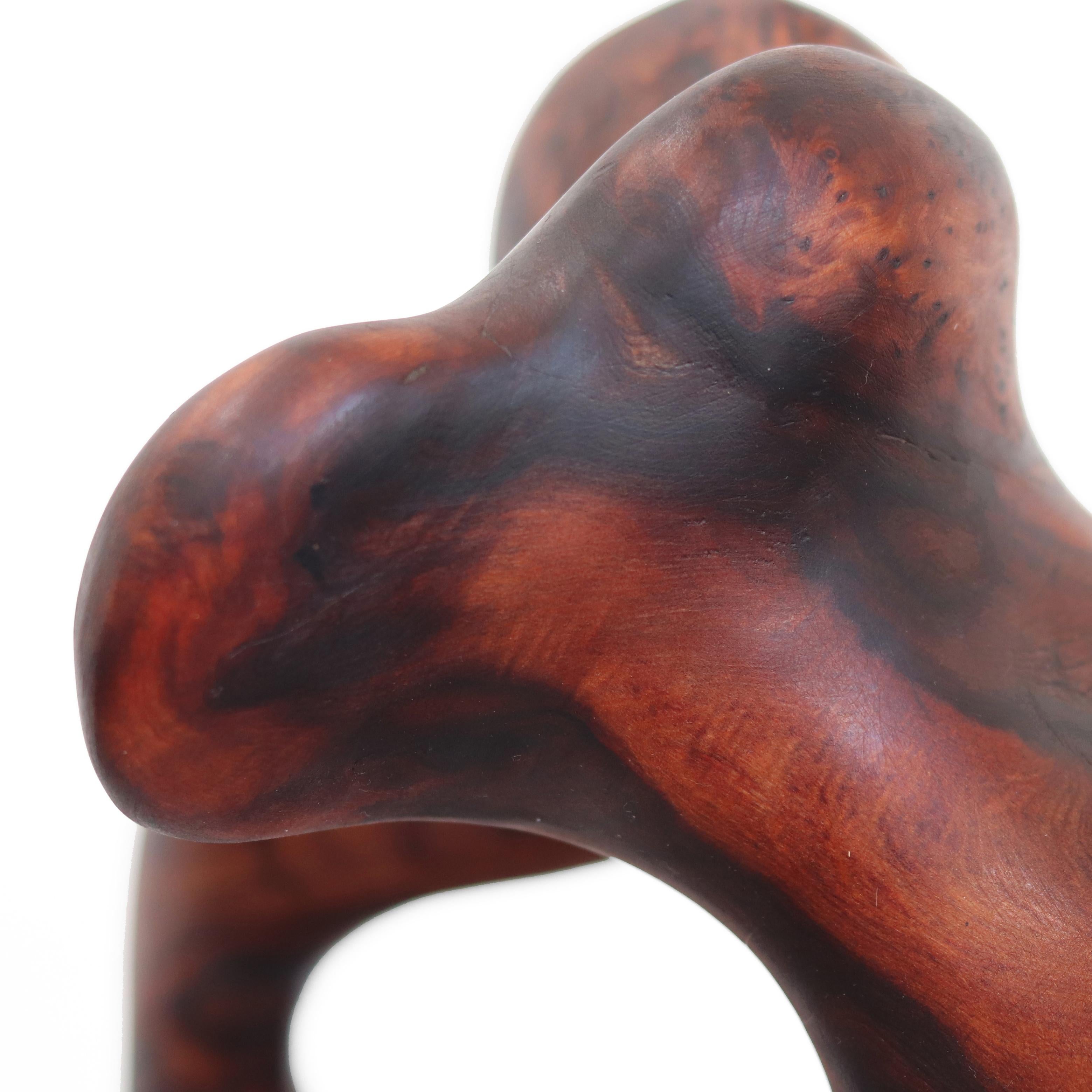 Metamorphosis II  -  Original organische Skulptur aus rotem Holz 2
