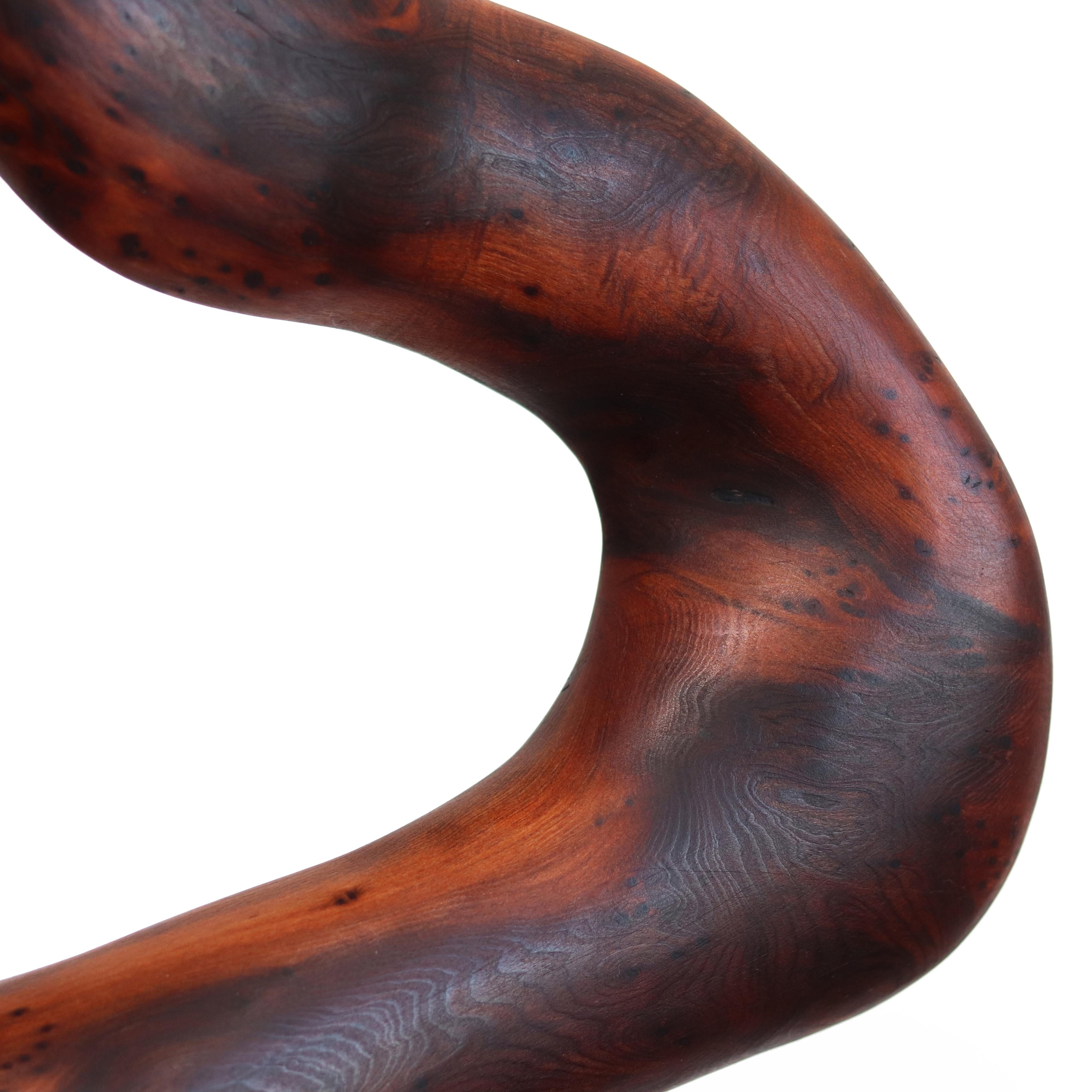 Metamorphosis II  -  Original organische Skulptur aus rotem Holz 4