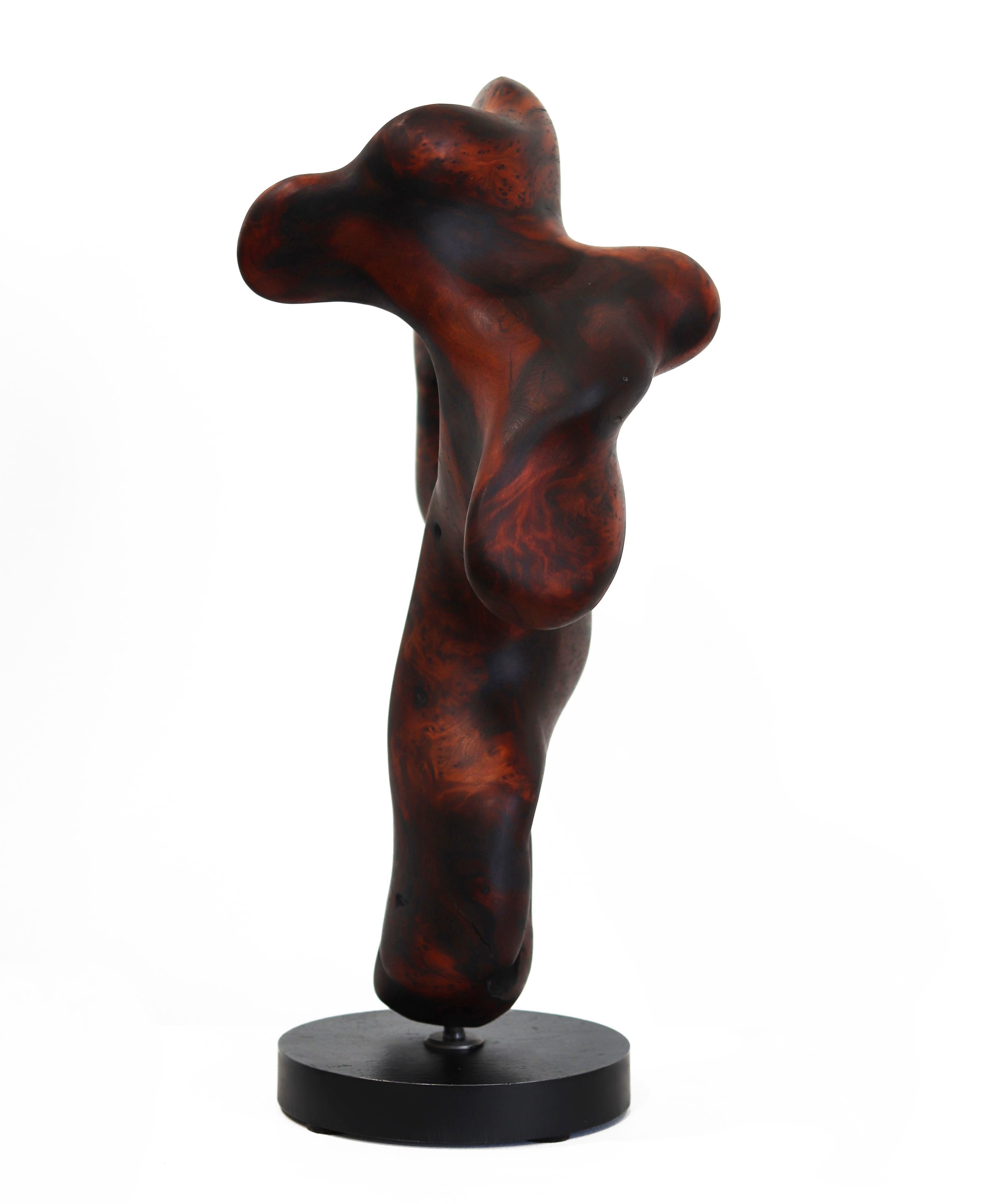 Metamorphosis II  -  Original organische Skulptur aus rotem Holz 5