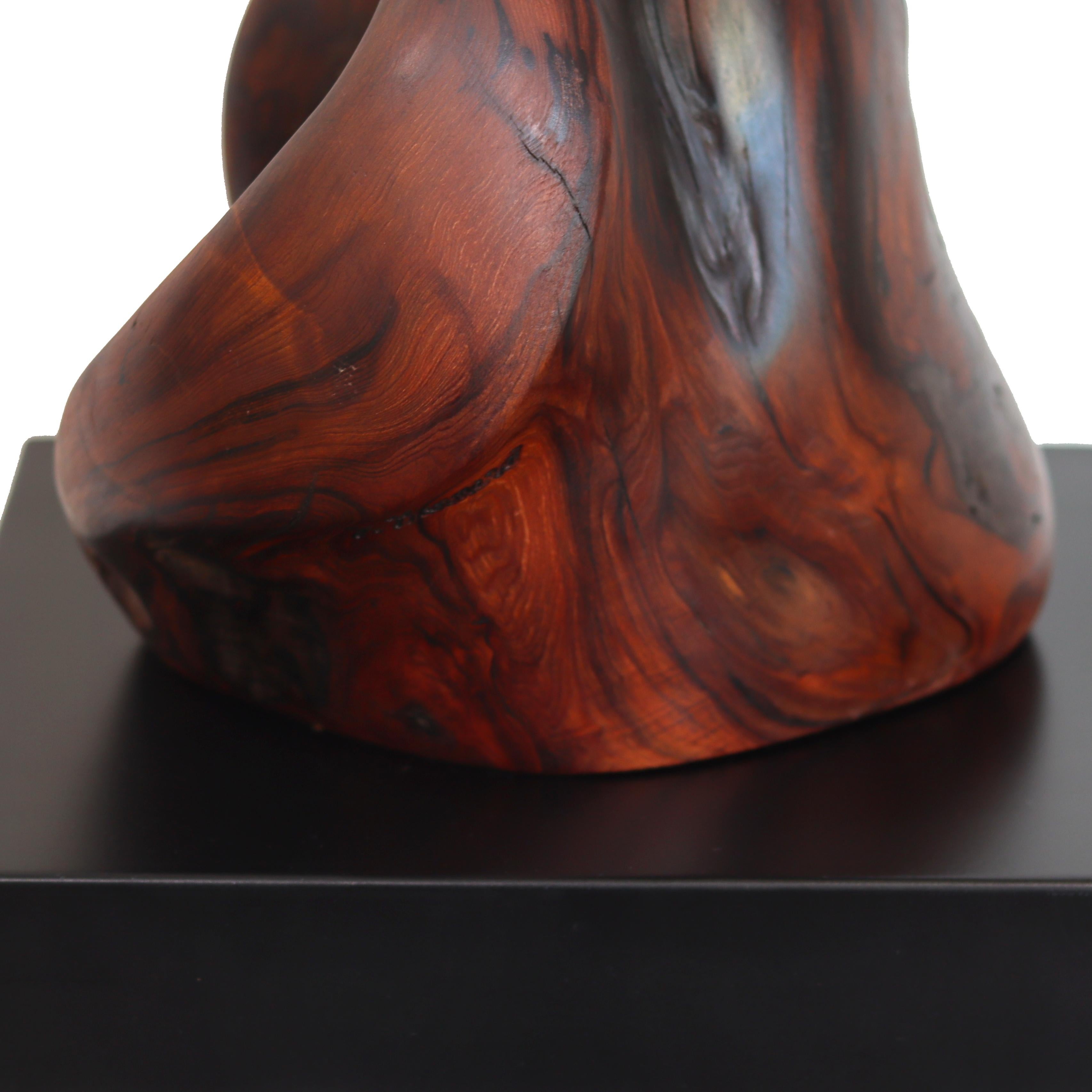 Together Bound - Original Medium Size Abstract Organic Form Redwood Sculpture For Sale 8