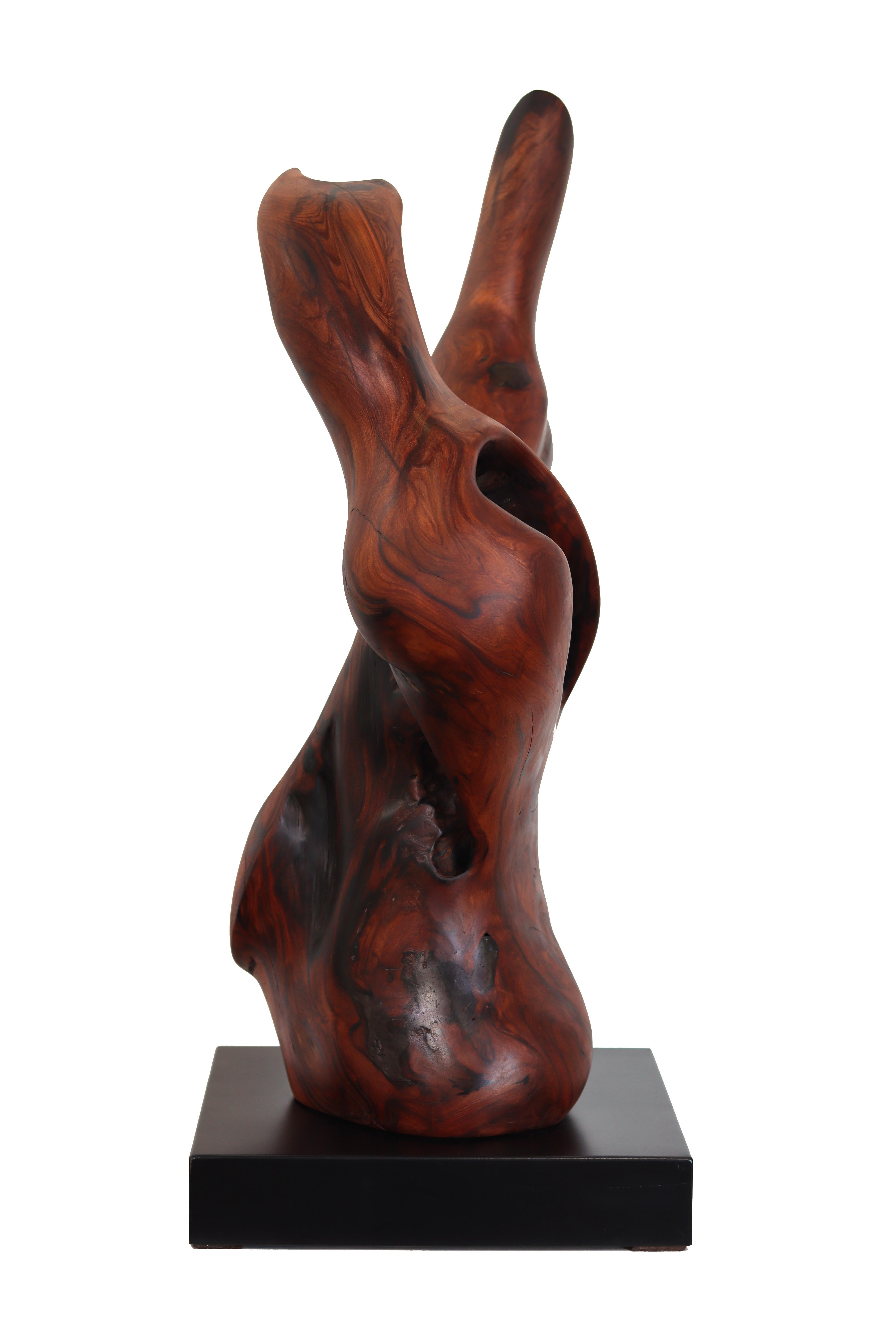 Together Bound - Original Medium Size Abstract Organic Form Redwood Sculpture For Sale 9