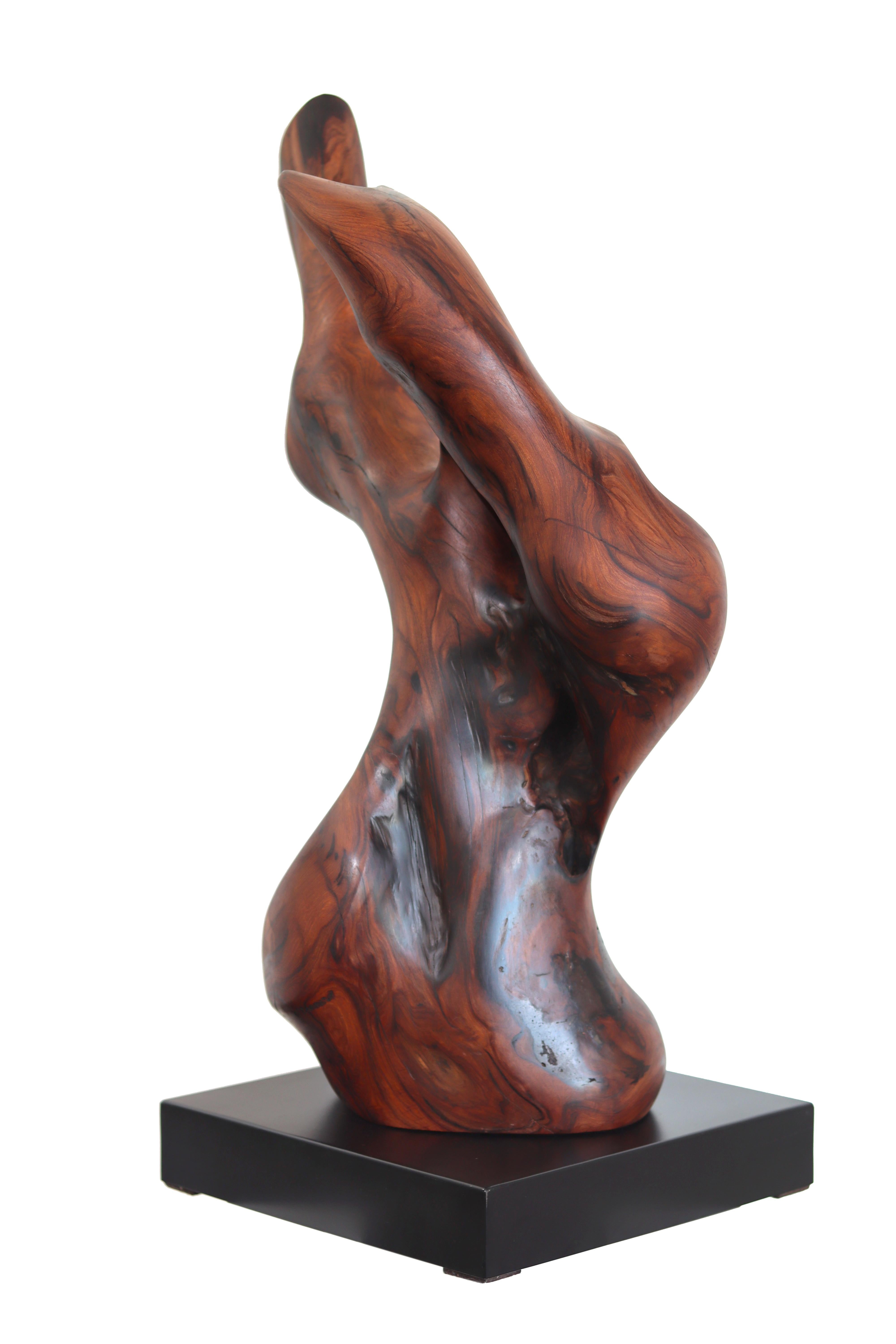 Together Bound - Original Medium Size Abstract Organic Form Redwood Sculpture For Sale 2