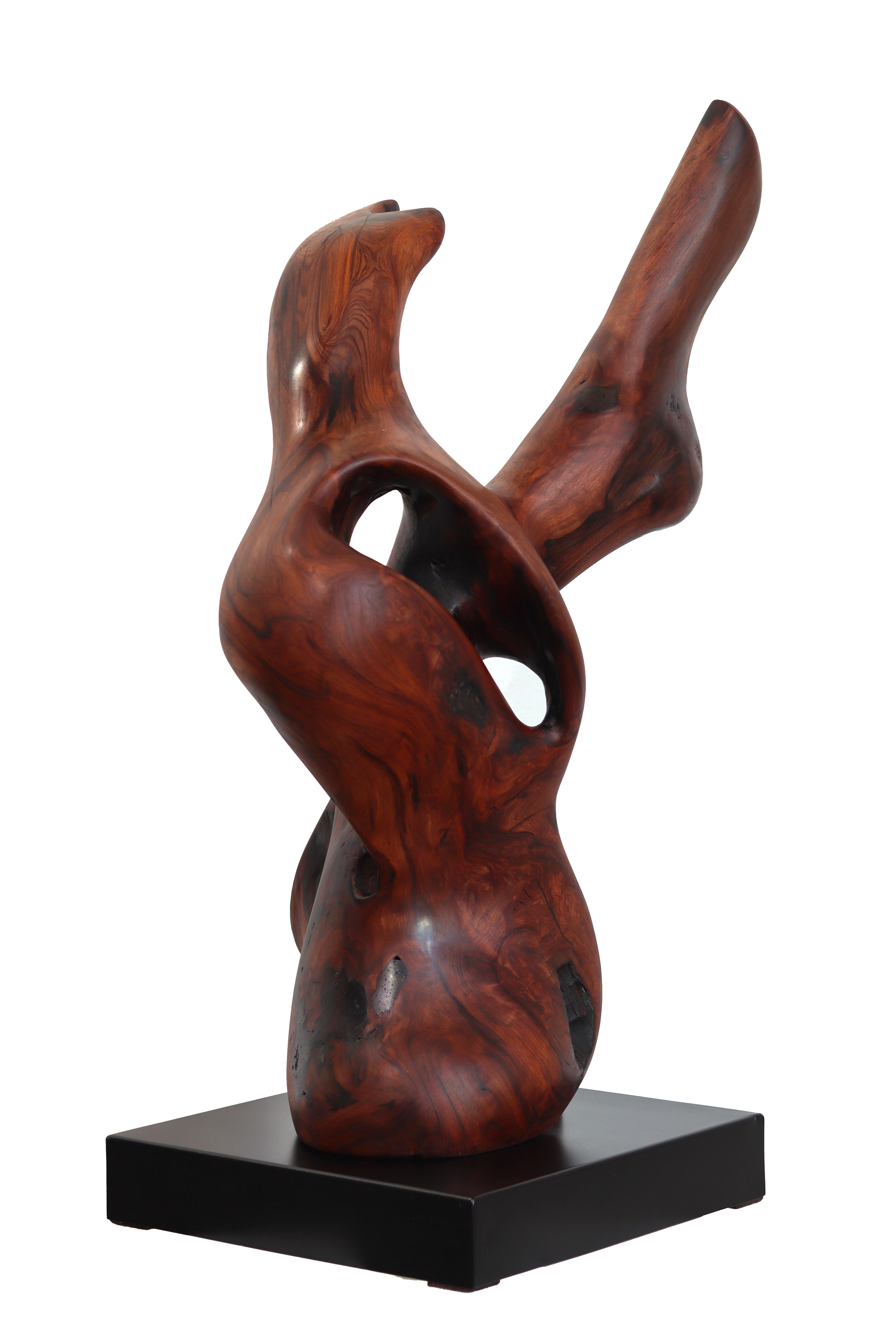 Together Bound - Original Medium Size Abstract Organic Form Redwood Sculpture For Sale 7