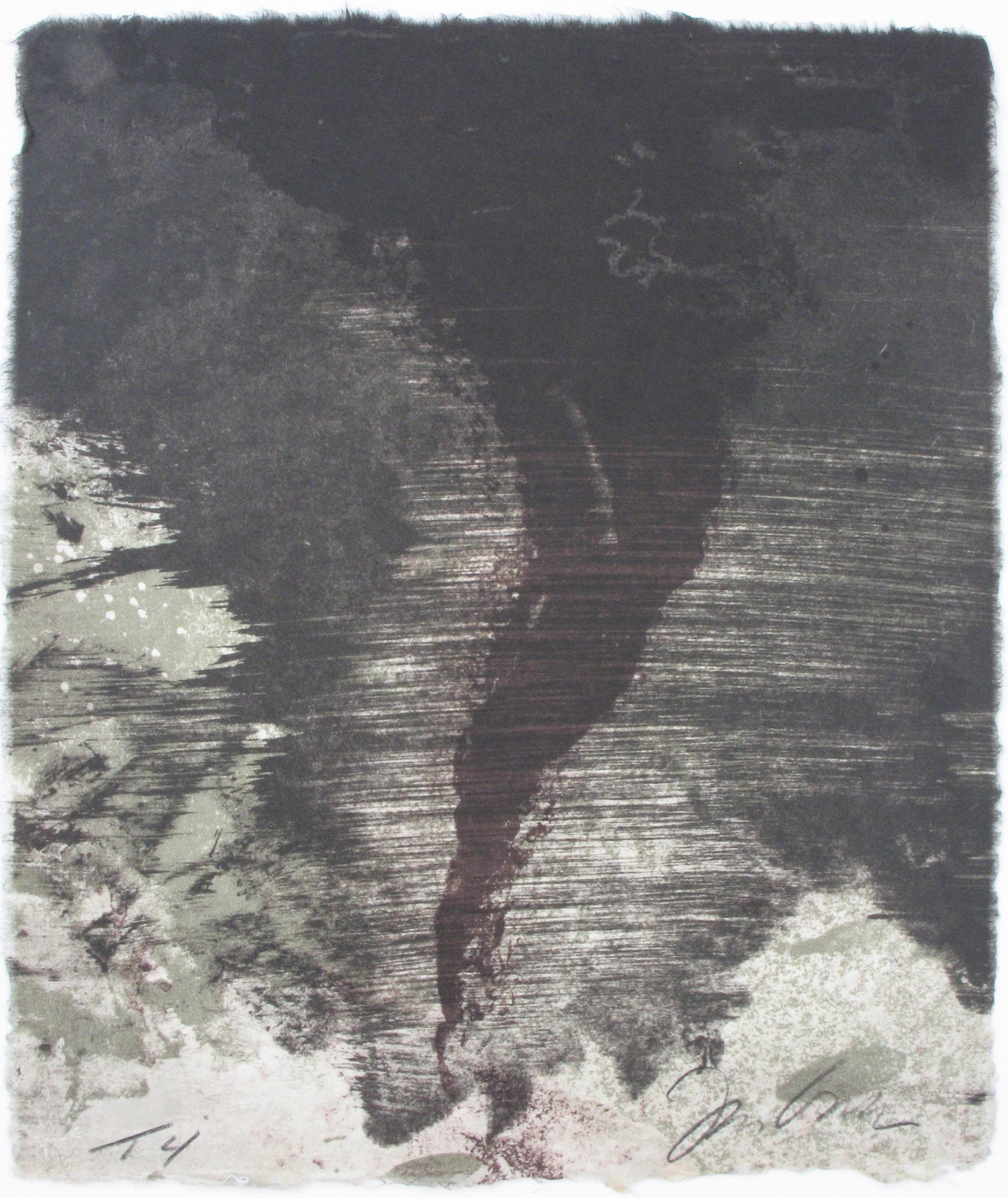 Joe Goode Abstract Print - Terrible Twister (State II)