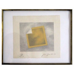 Vintage Joe Goode Untitled Yellow Folded Photo Modern Signed Lithograph 63/110 Framed