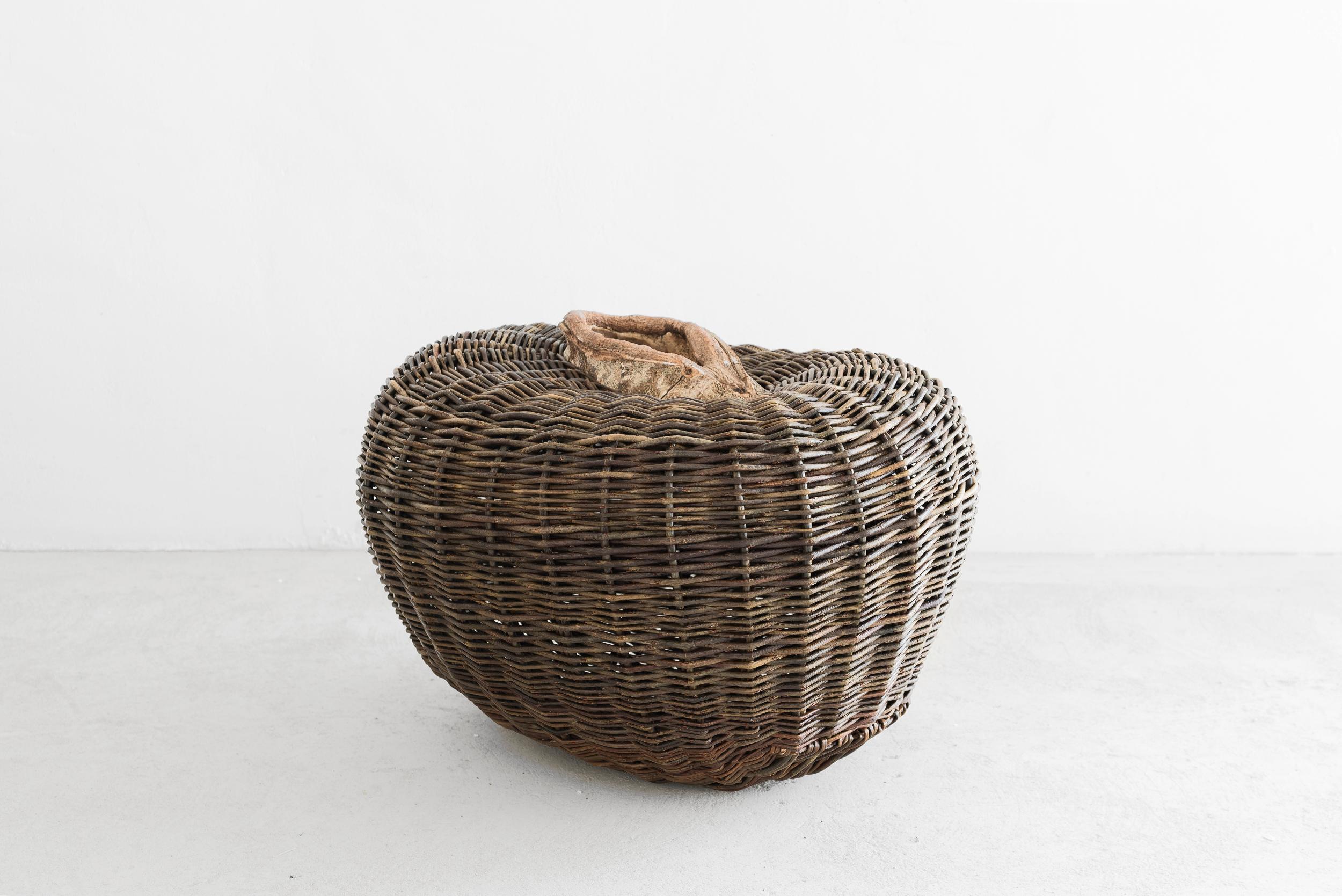 Joe Hogan
Pod on beechwood
Manufactured by Joe Hogan
Produced in exclusive for Side Gallery
Ireland, 2020
Beechwood

Joe Hogan is a master basket-maker based in Loch Na Fooey, a glacial lake situated in the west of Ireland. He has been