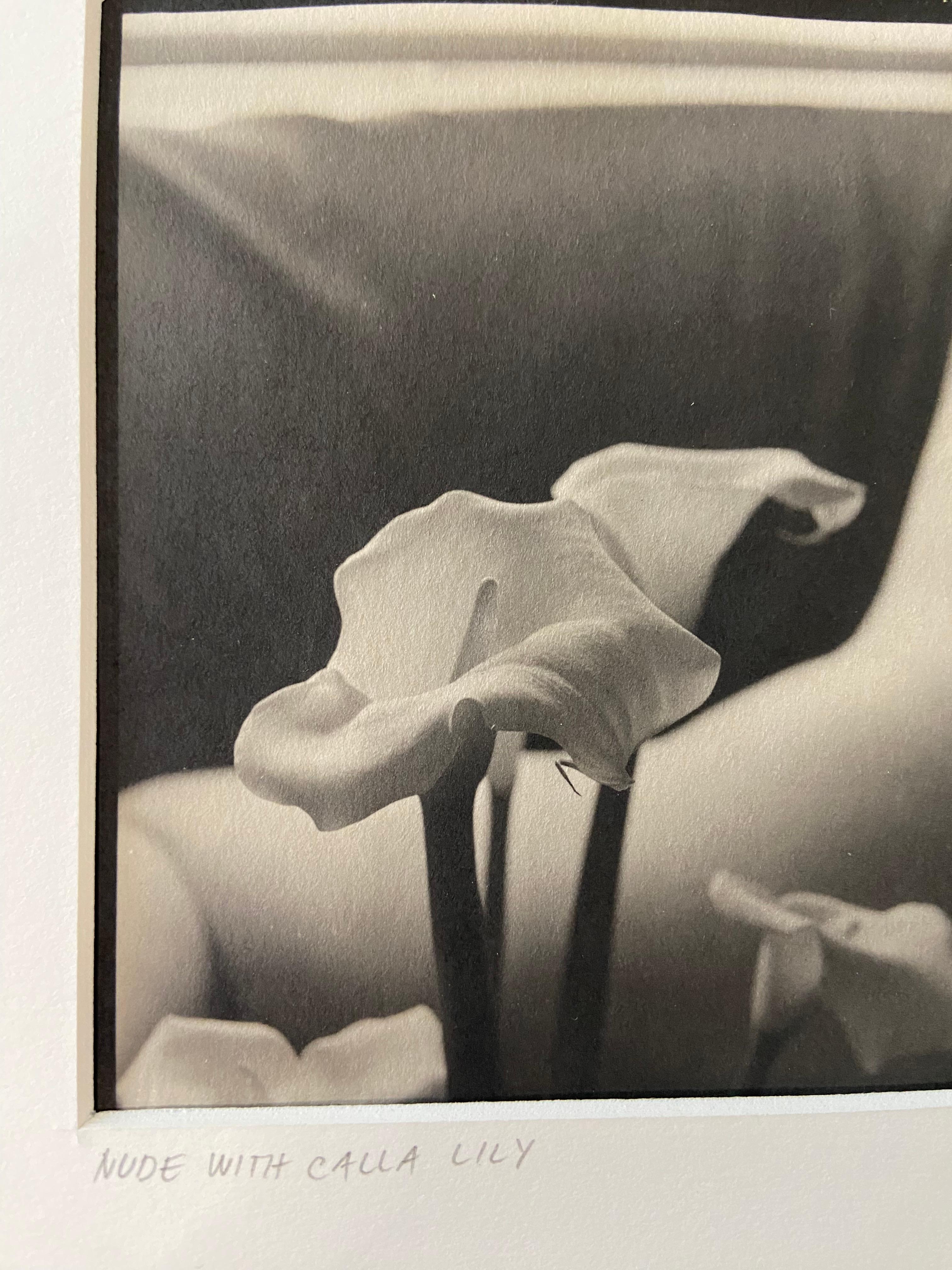 Joe Hoynik
Nudo con giglio di Calla, 1992, stampato nel 1994
Fotografia al platino palladio
Dimensioni dell'immagine: 9 3/4 x 13 pollici  (24.8 x 33 cm)
Dimensioni montate: 27,3 x 36,8 cm
Edizione 3/5