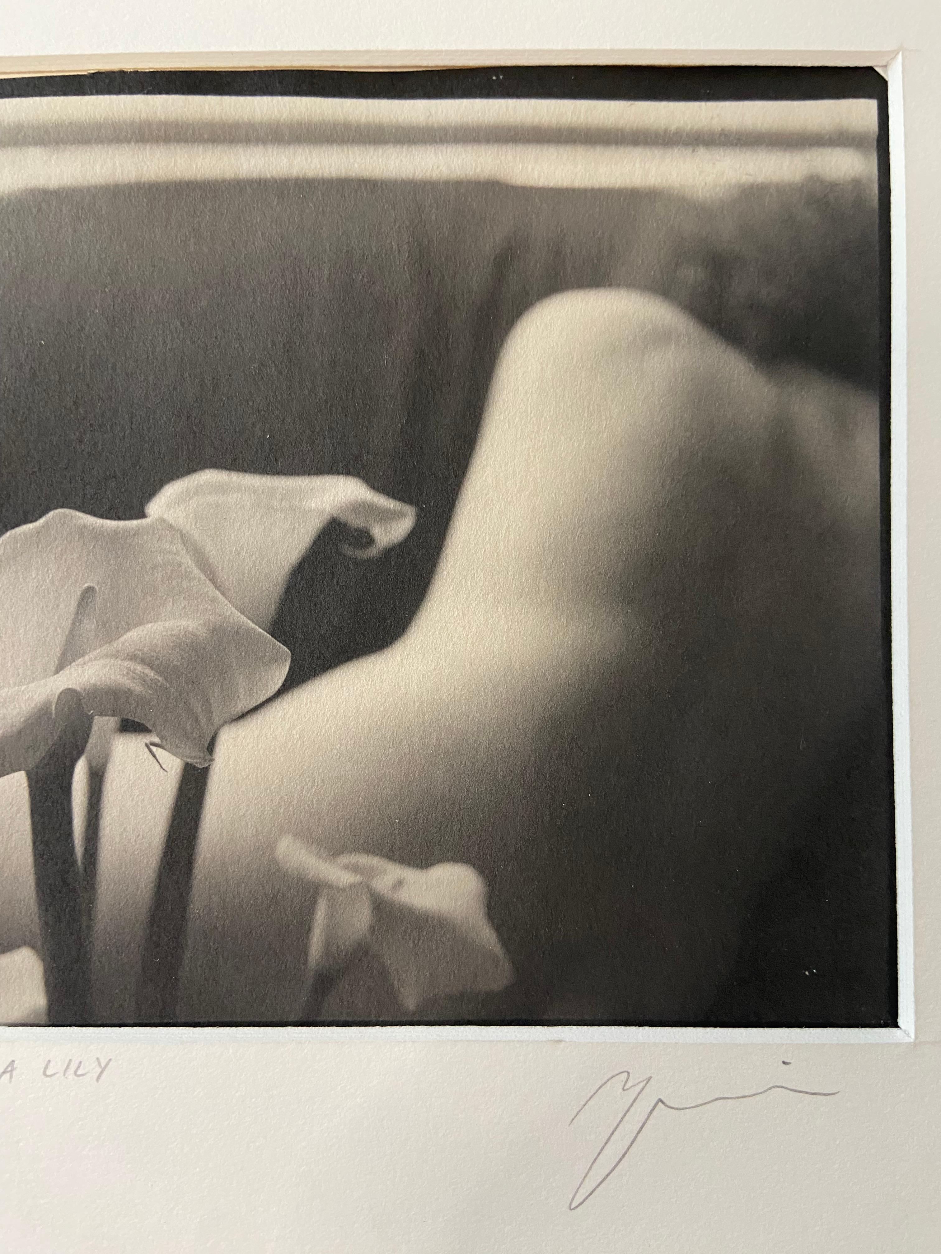 Nudo con giglio di Calla in vendita 1