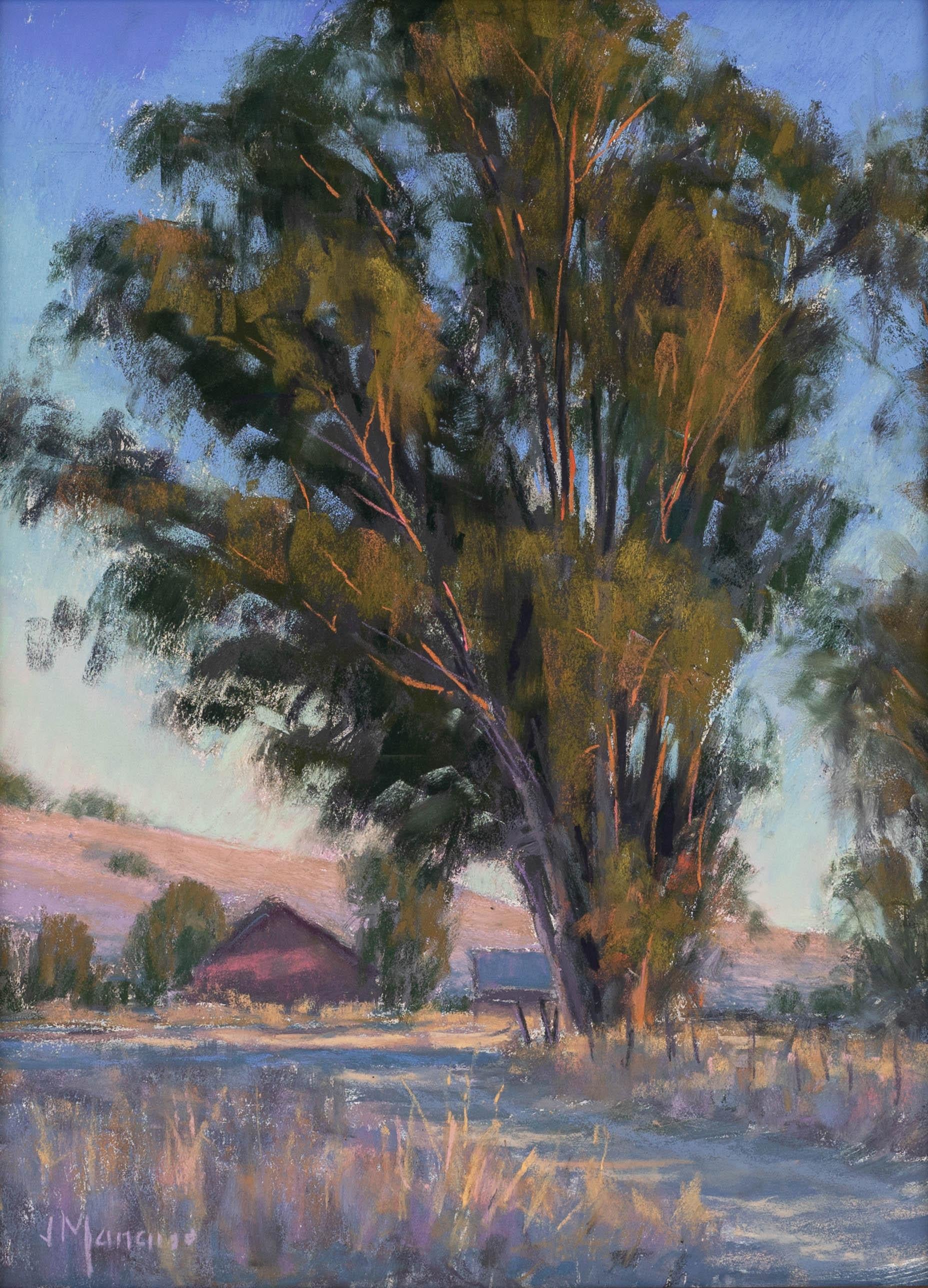 "Evening at Harvey Bear" a Pastoral Painting of an Oak Tree by Joe Mancuso