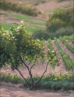 "Roses Among the Vines" a Pastoral Vineyard and Rose Painting by Joe Mancuso