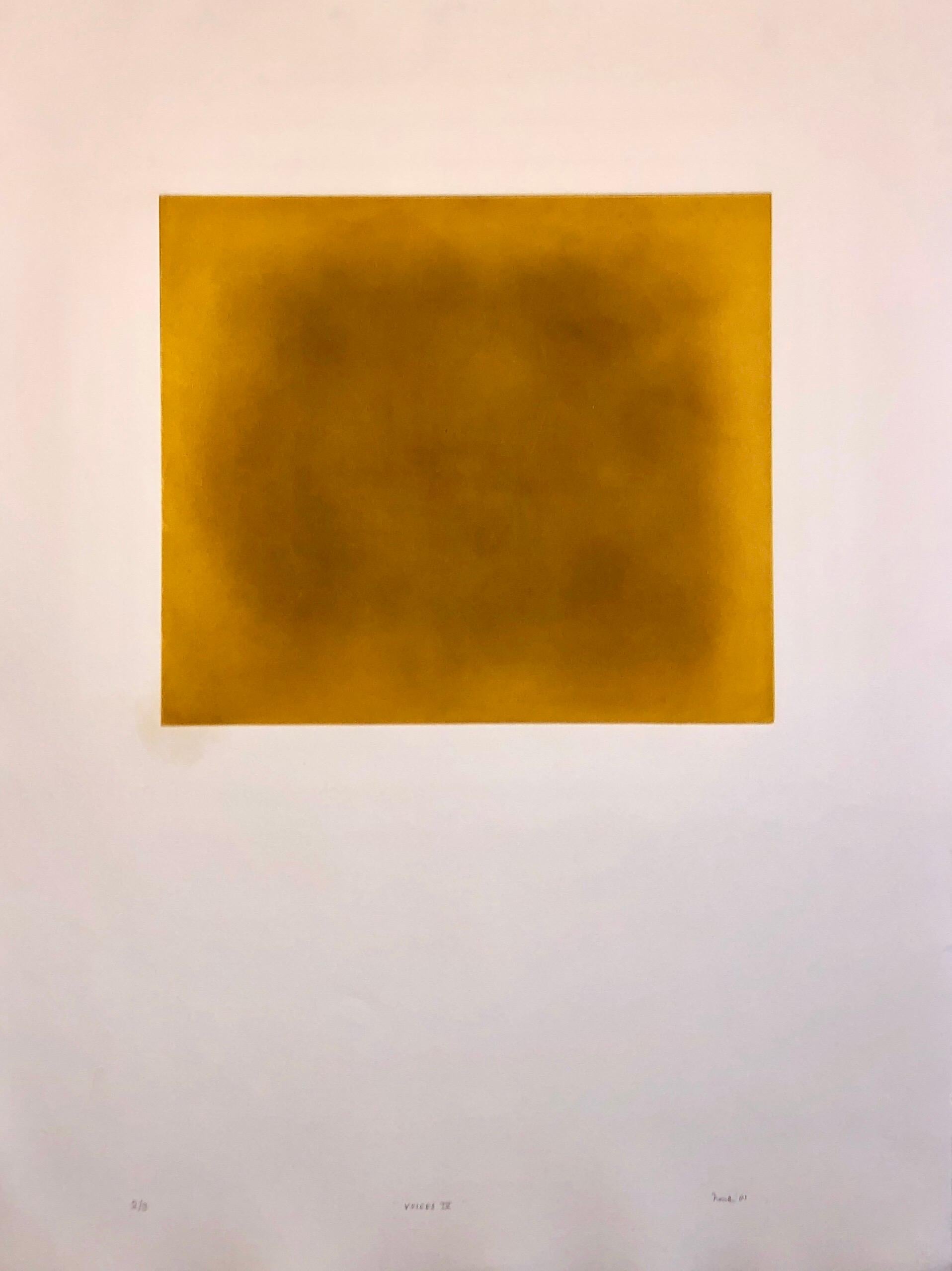 Abstract Color Field Gradient Yellow Gold Aquatint Etching California Minimalism - Print by Joe Novak
