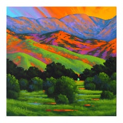 Used Contemporary Expressionist Landscape, "Foothills Meadow"