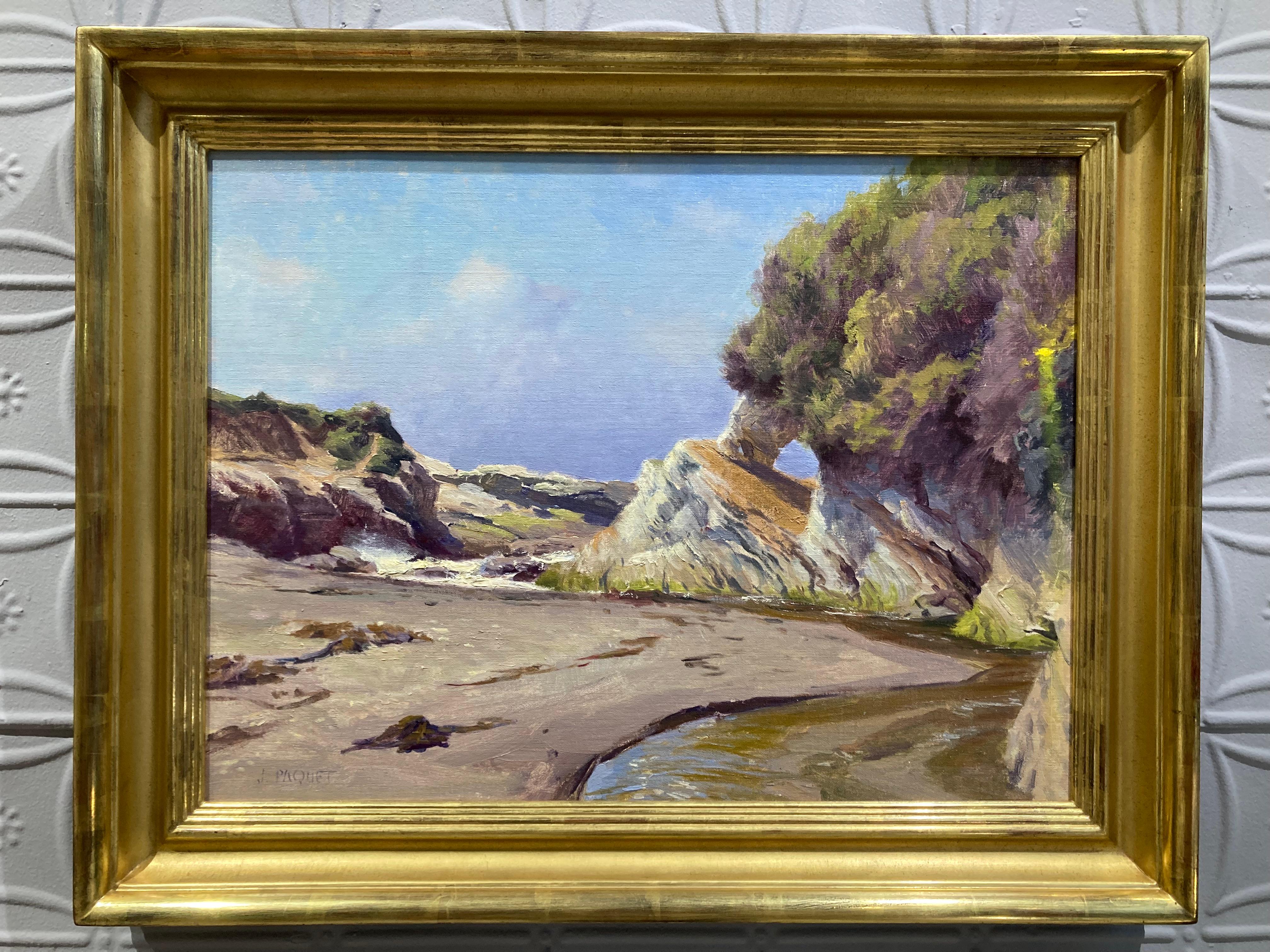 An oil painting of high tide at Spooners Cove, California. 


Artist Bio
Joseph Paquet, while pursuing a Bachelor of Fine Arts at the School of Visual Arts in New York, had the good fortune of finding mentors in artists James McMullan and John Foote