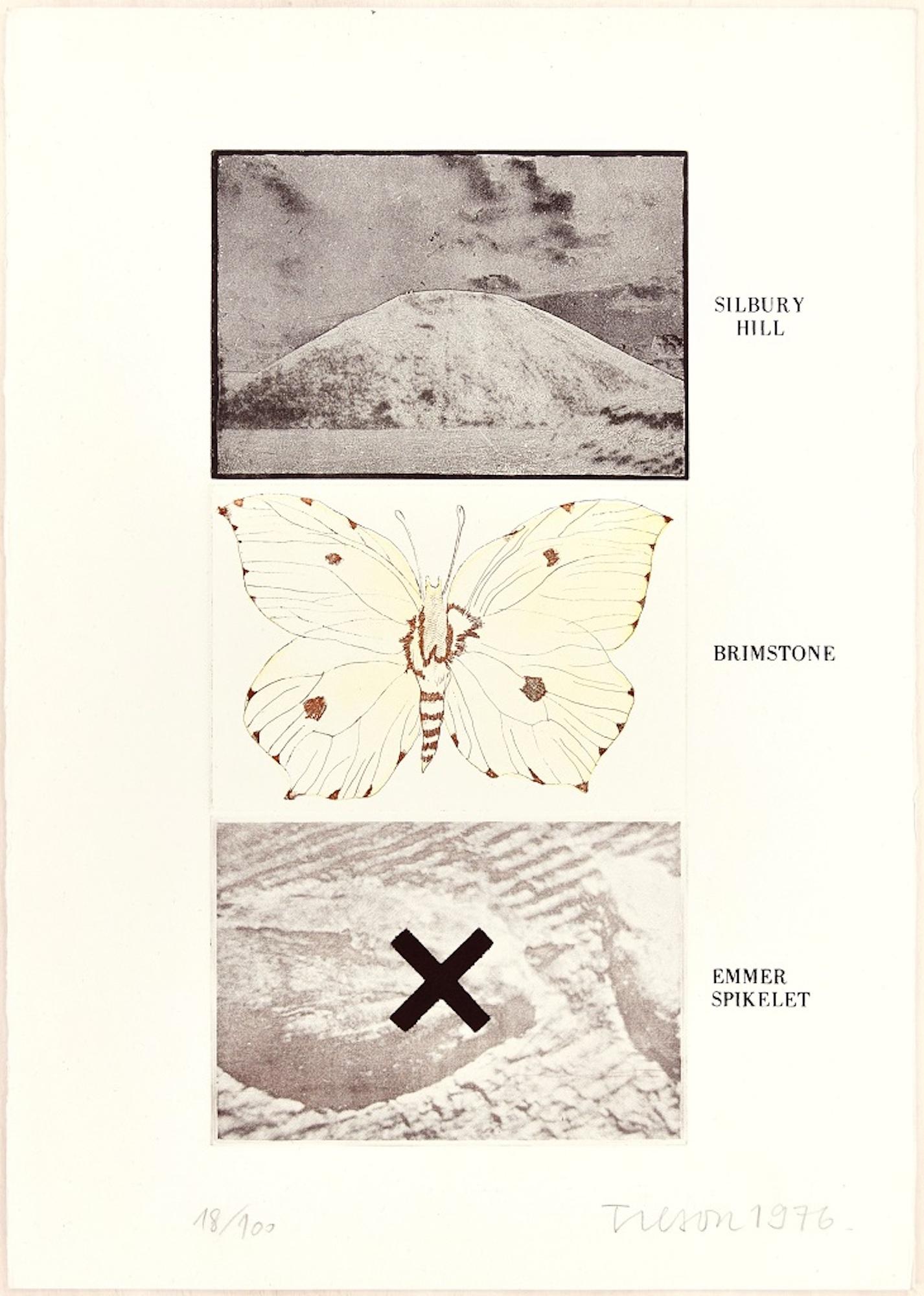 Silbury Hill, Brimstone, Emmer Spikelet - Emmer Spikelet, gravure originale de Joe Tilson - 1976