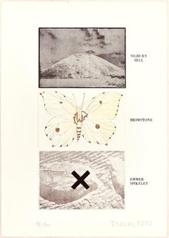 Silbury Hill, Brimstone, Emmer Spikelet - Grabado original de Joe Tilson - 1976