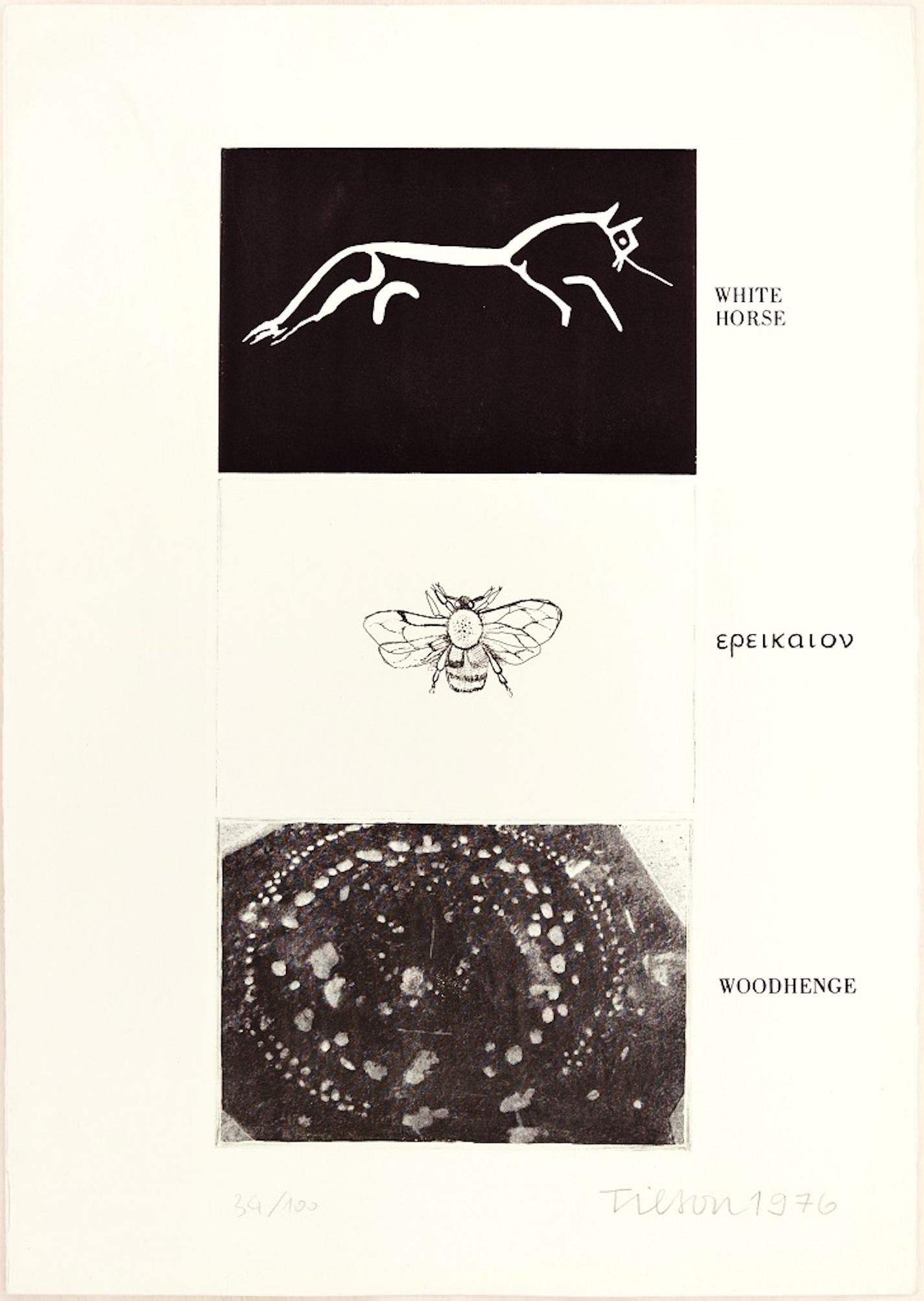 White Horse, Woodhenge is a black and white etching on rosaspina Fabriano watermarked paper, realized in 1976 by the English pop artist, Joe Tilson.

Hand-signed, dated and numbered in pencil on lower margin. Edition of 100 prints. In excellent