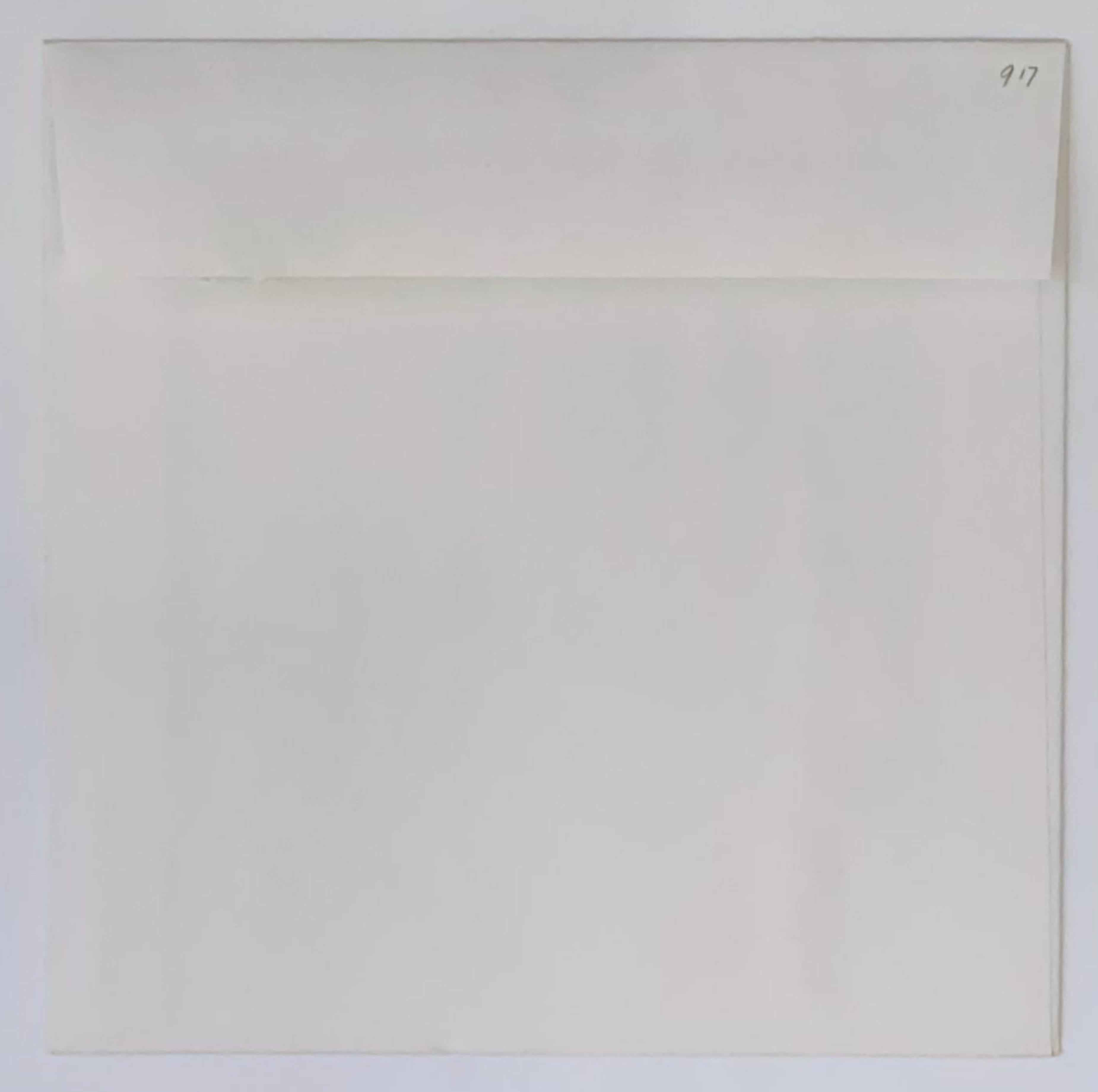 The Relocation of Property by Natural Forces, con busta originale con colophon - Abstract Print Grigio di Joe Zucker