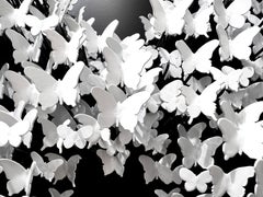 Circle of Life (Butterfly) - Black/White, Mixed Media Metal Wall Sculpture