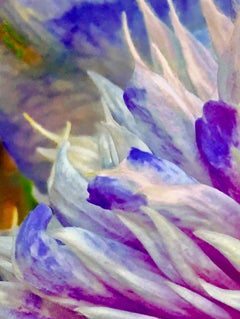 Purple Grasses
