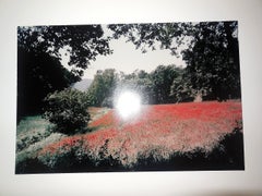 Tuscany, Field of Poppies, 1996 Large Vintage Color Photograph C Print Signed