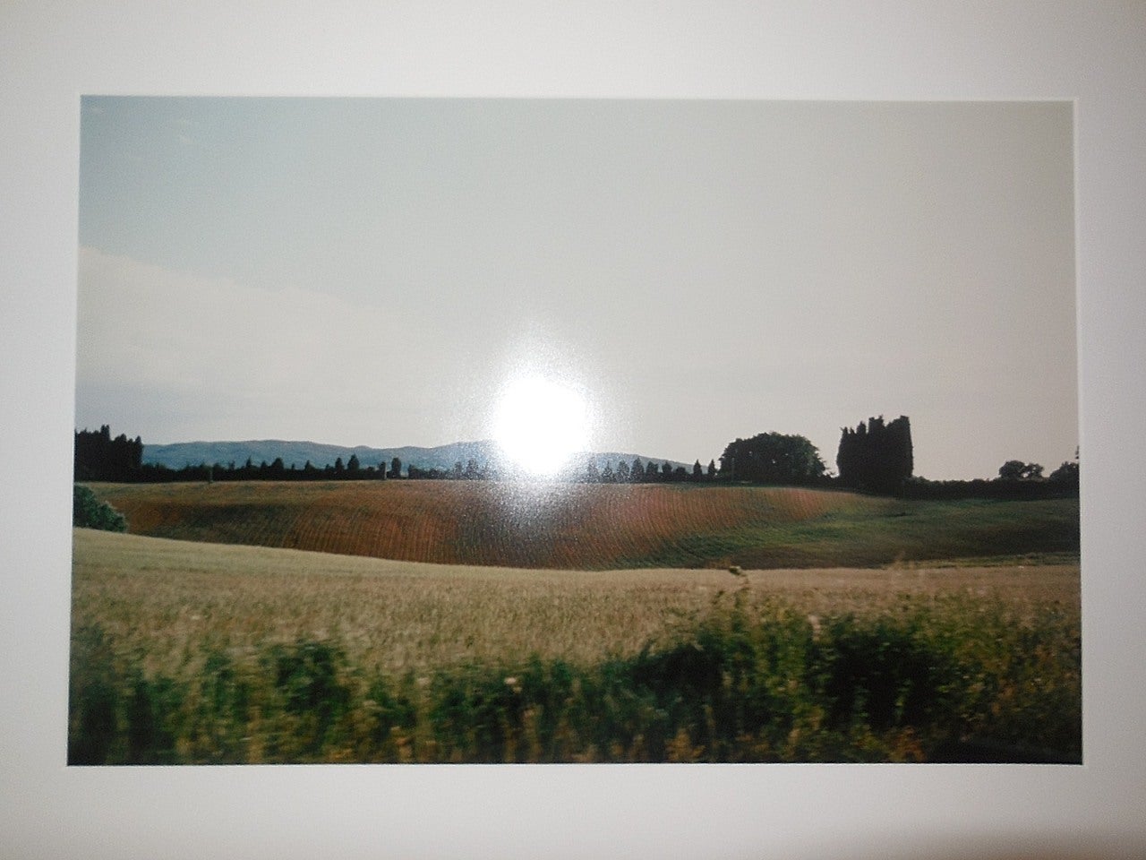 Tuscany, Hillside, 1996 - Gray Landscape Photograph by Joel Meyerowitz